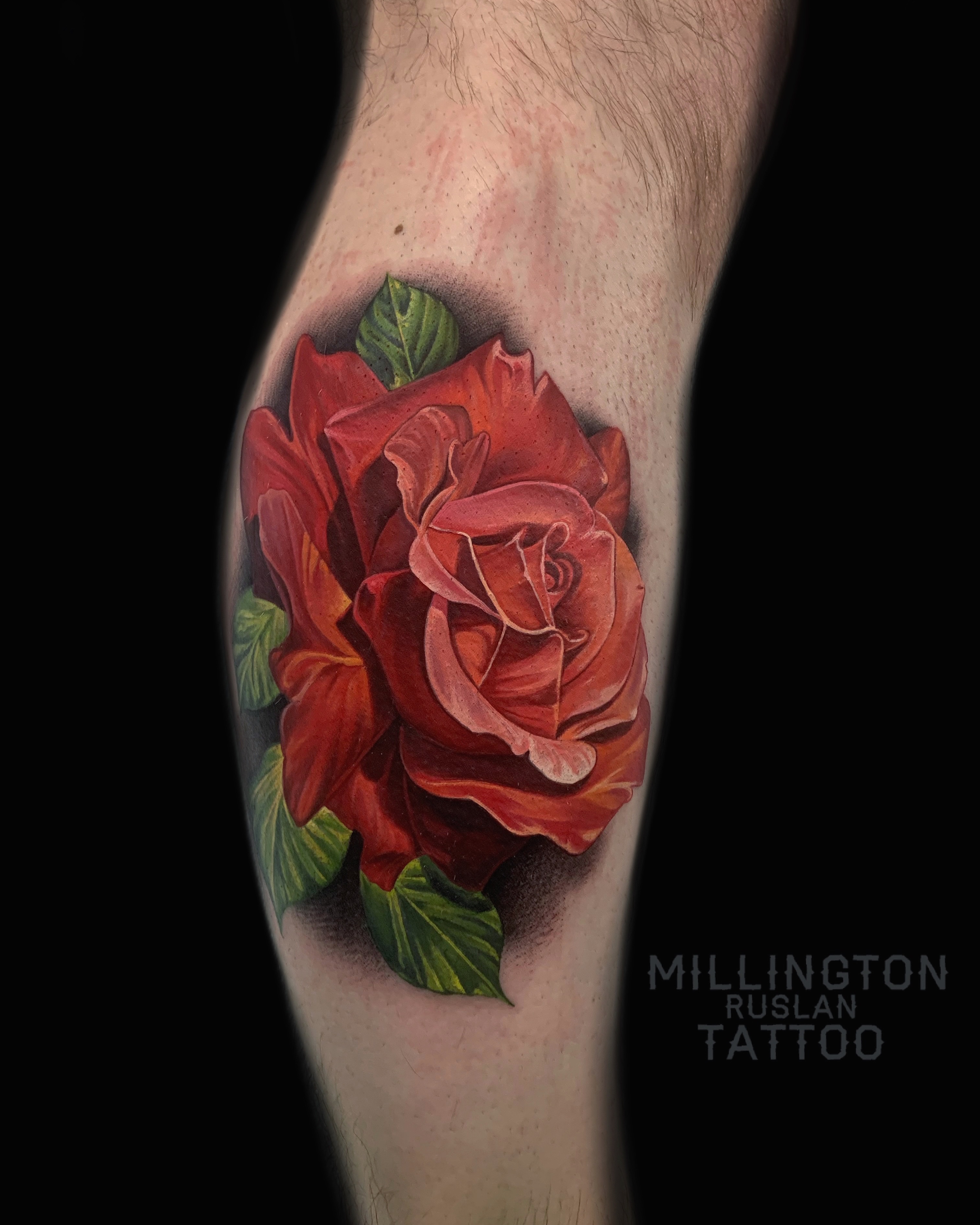 Red roses realism tattoo on the forearm by Ink Warden  Tattoo