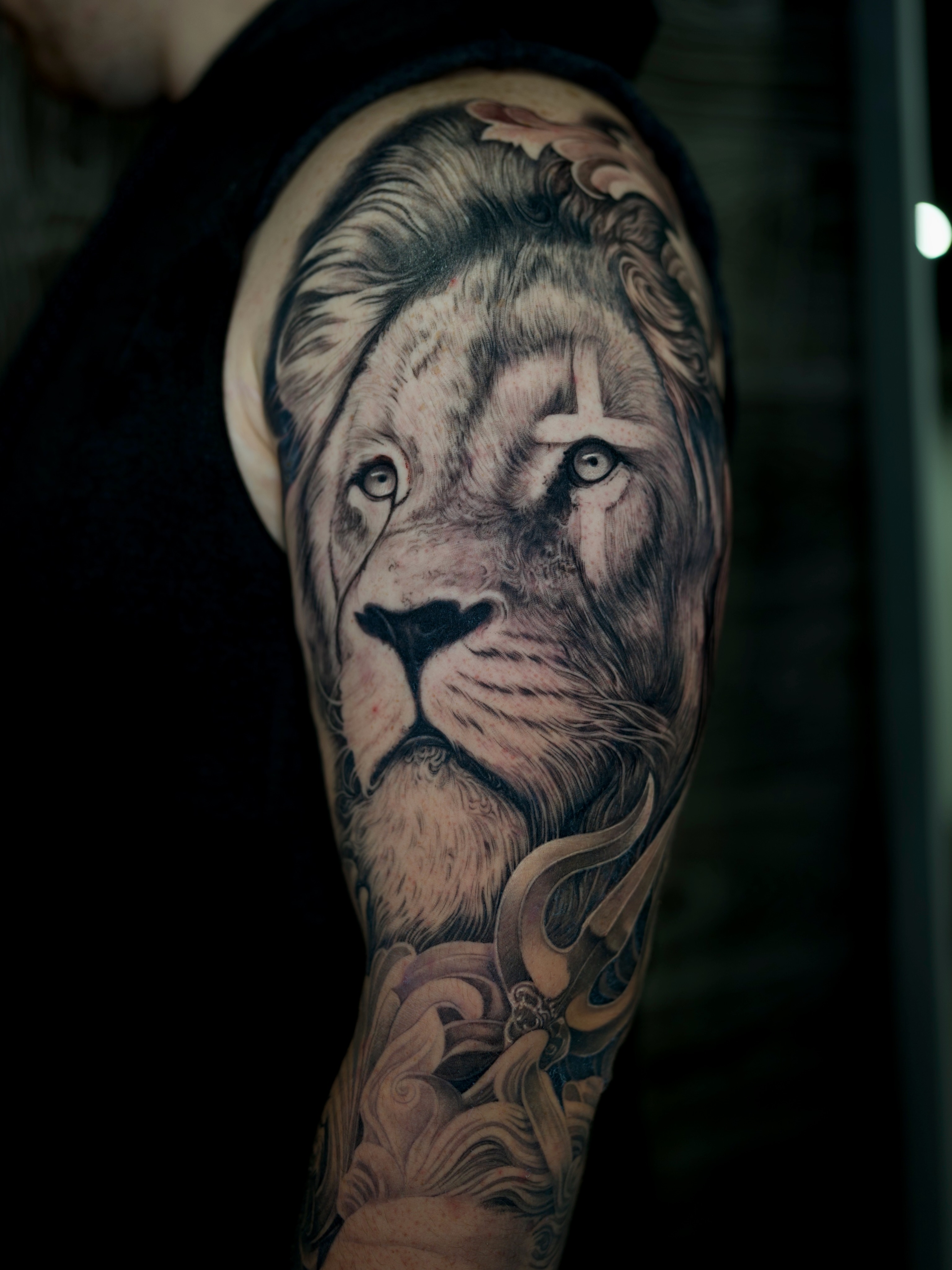 Lion realism tattoo on the forearm by Ink Warden  Tattoo