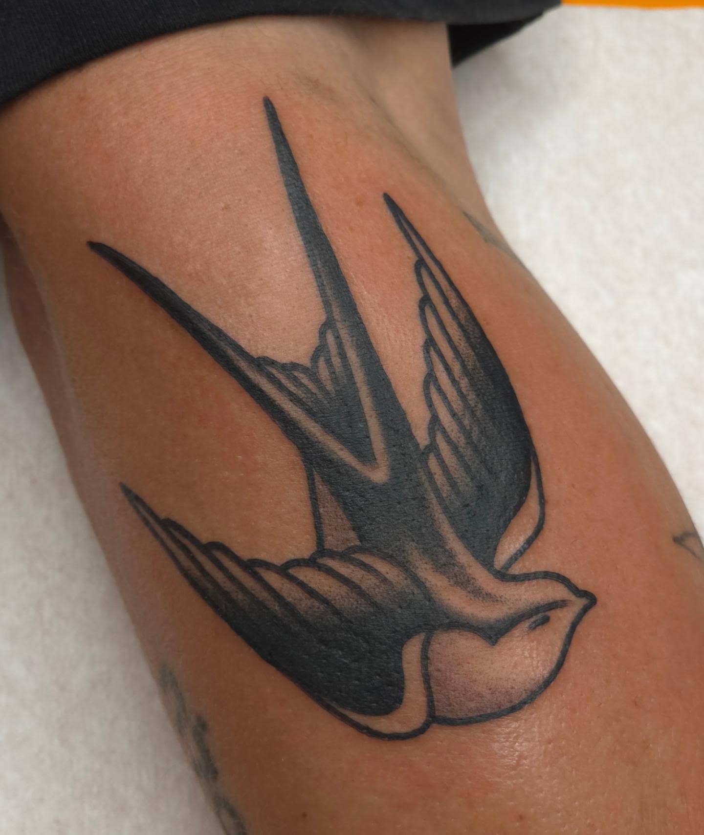 Swallow American traditional tattoo on the forearm by Clayton Harpole, Jefferson, Oregon