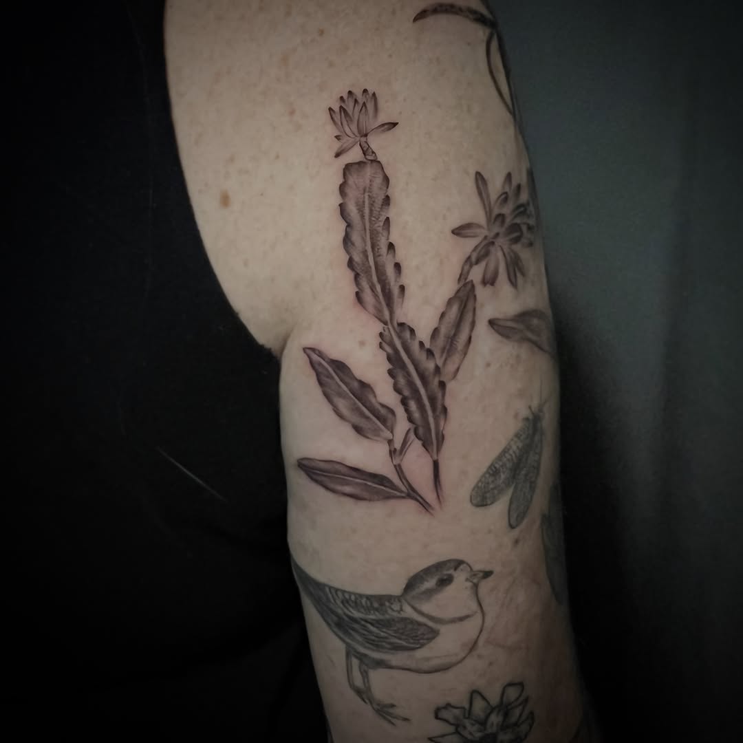 Tattoo by @southpaw.stipple — black_and_grey, realism
