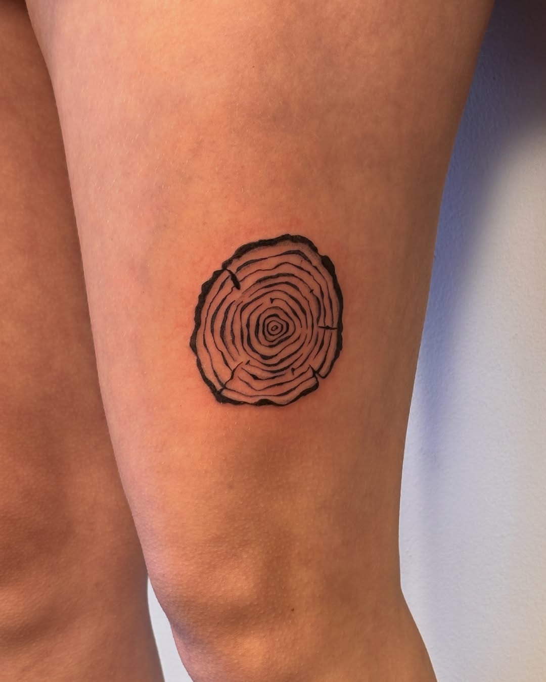 Tree ring fine line tattoo on the forearm by Maddie
