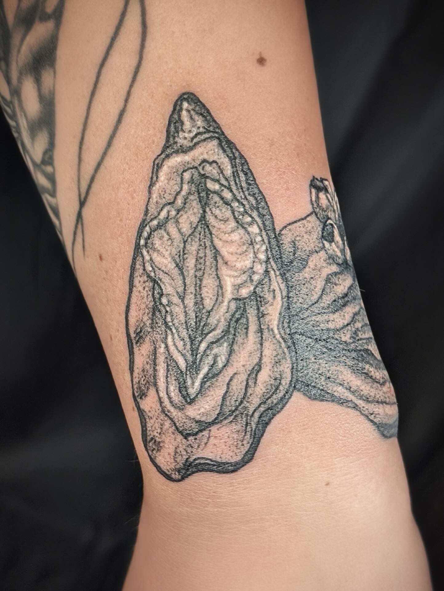 Oyster shell dotwork tattoo on the forearm by Gina Carlson