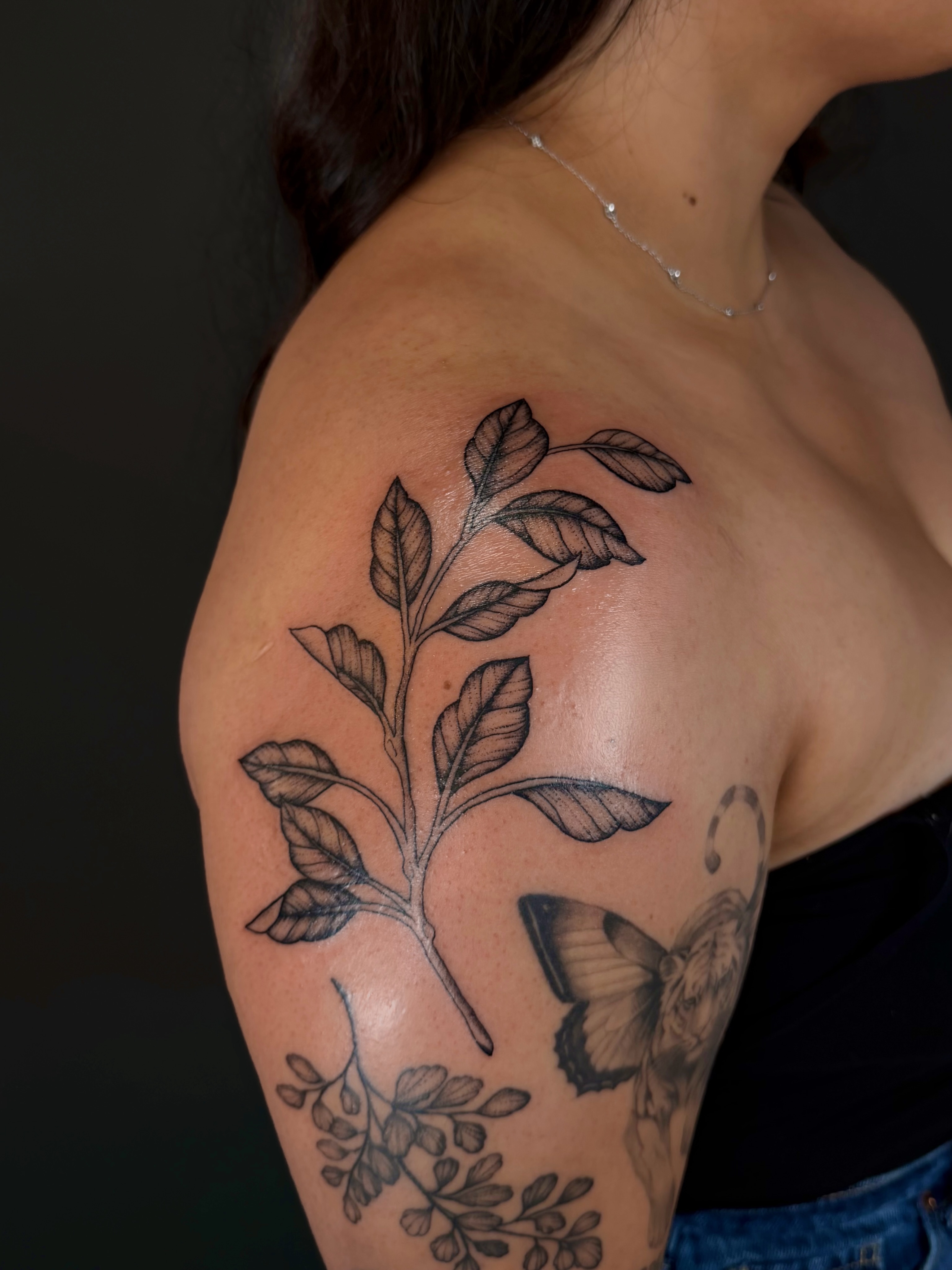 Branch with leaves black and grey tattoo on the shoulder by Hannah, Portland, Oregon