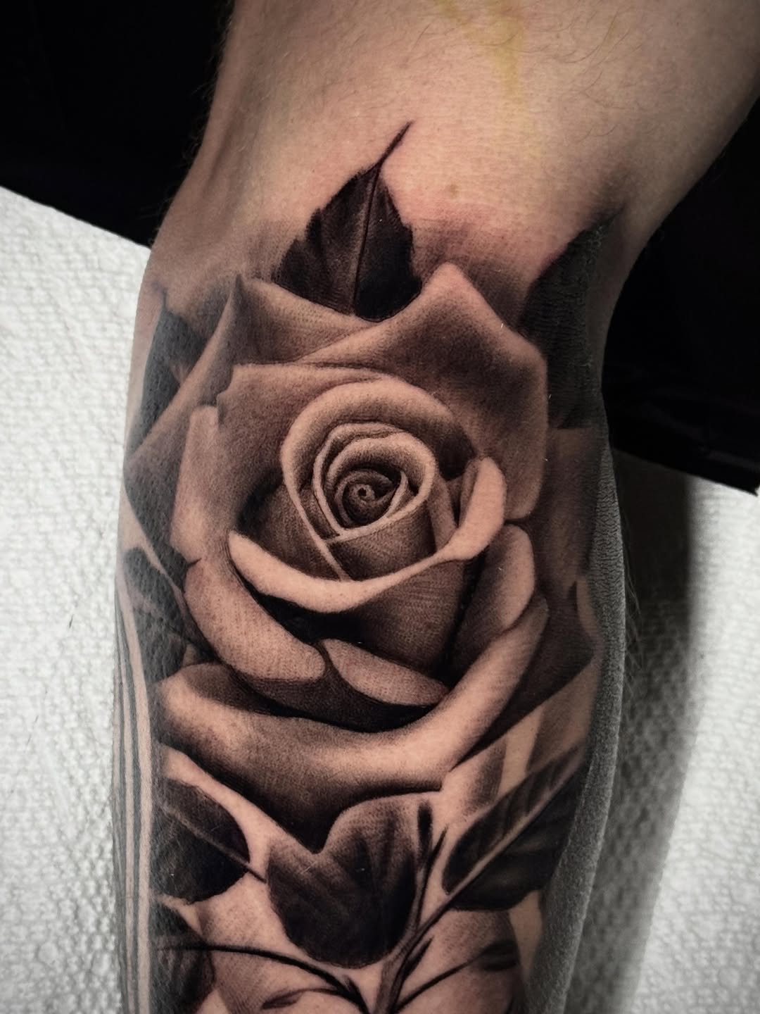 Rose dotwork tattoo on the forearm by Tony Garcia