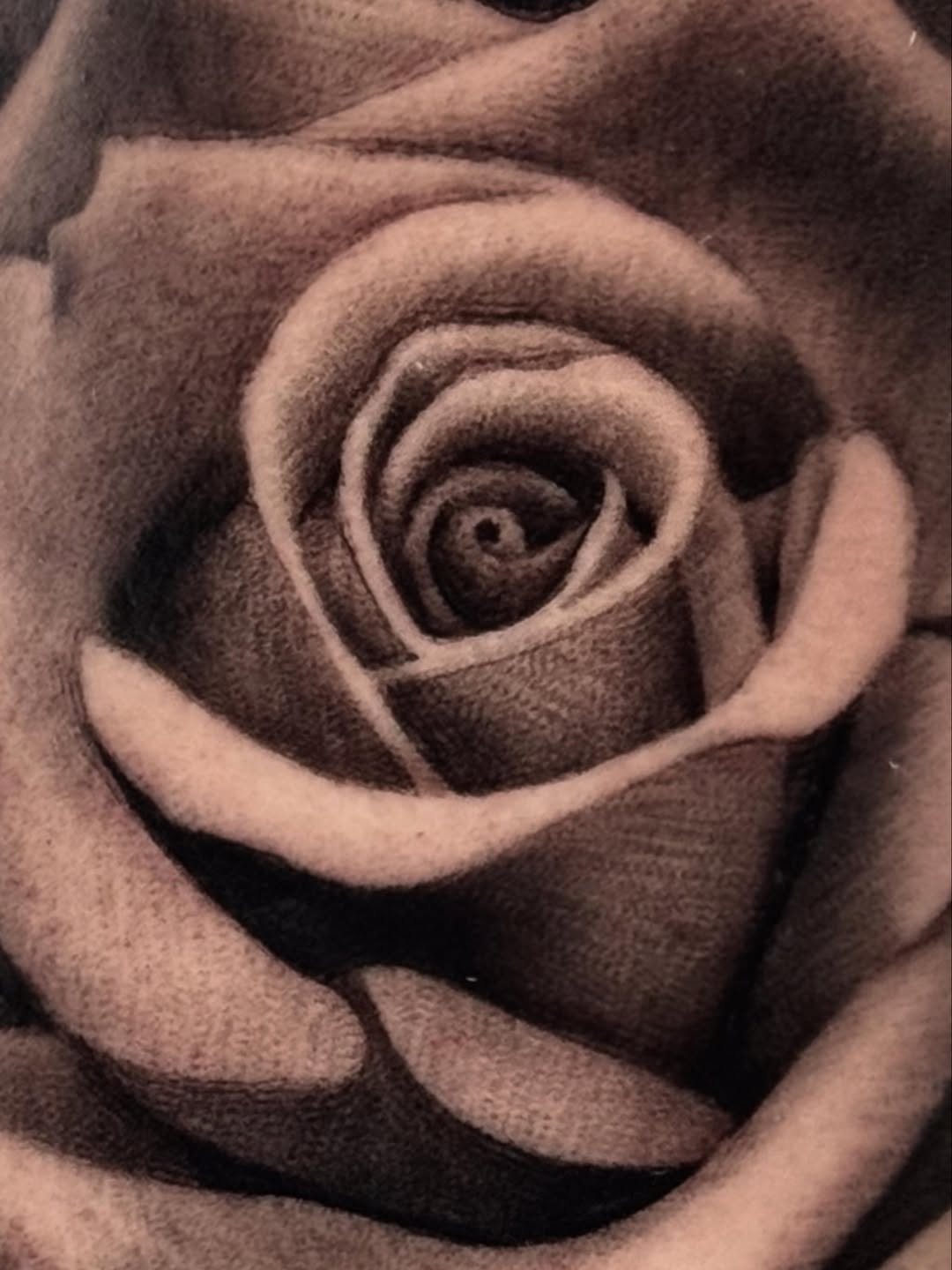 Rose dotwork tattoo by Tony Garcia