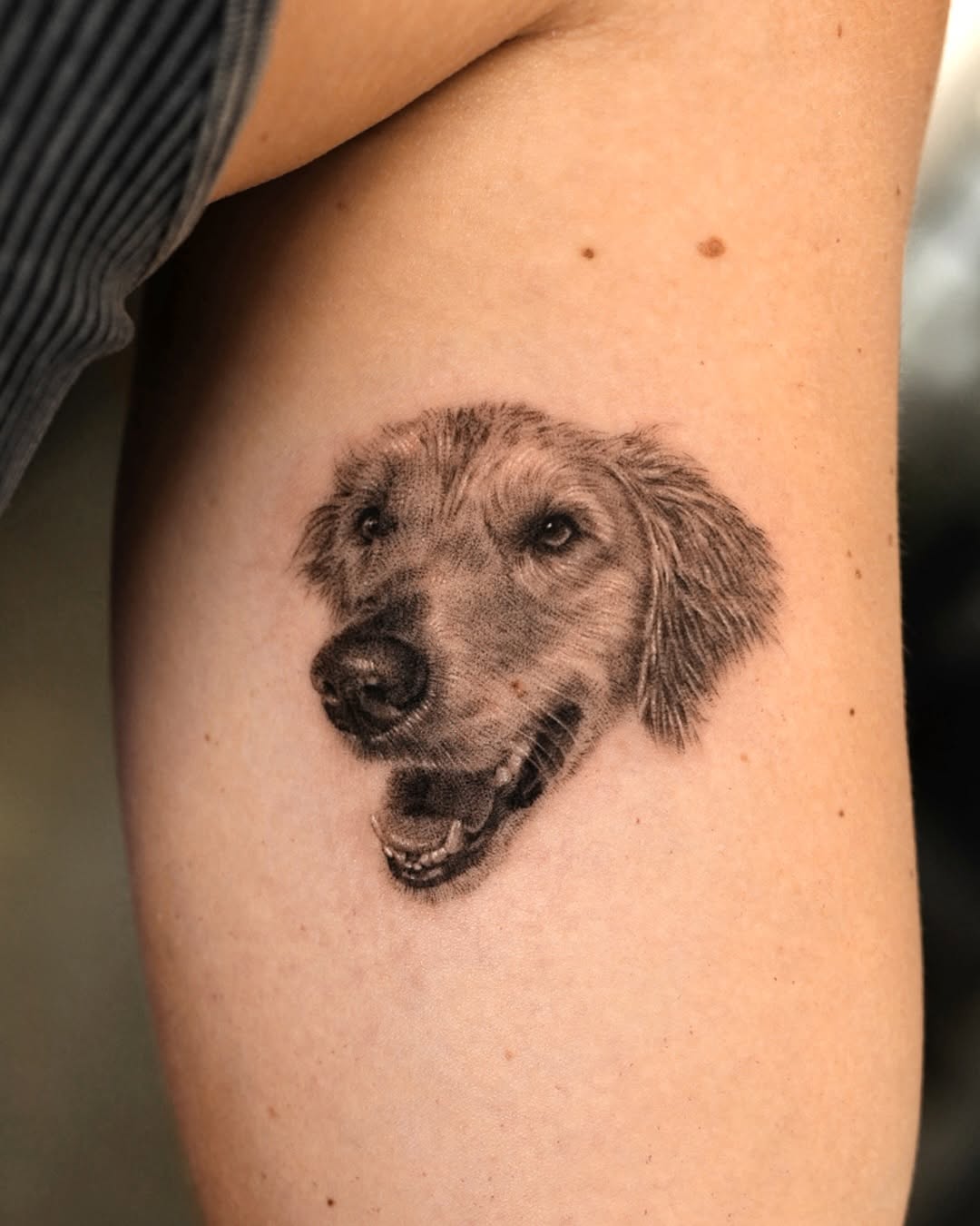 Golden retriever portrait realism tattoo on the upper arm by Ria Kim 김리아
