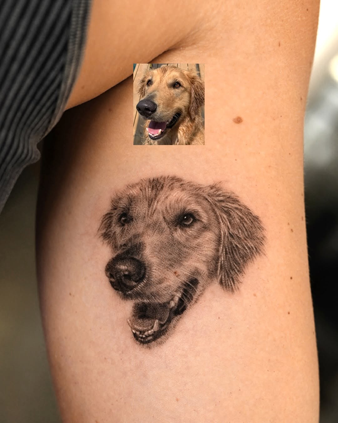 Golden retriever portrait realism tattoo on the forearm by Ria Kim 김리아