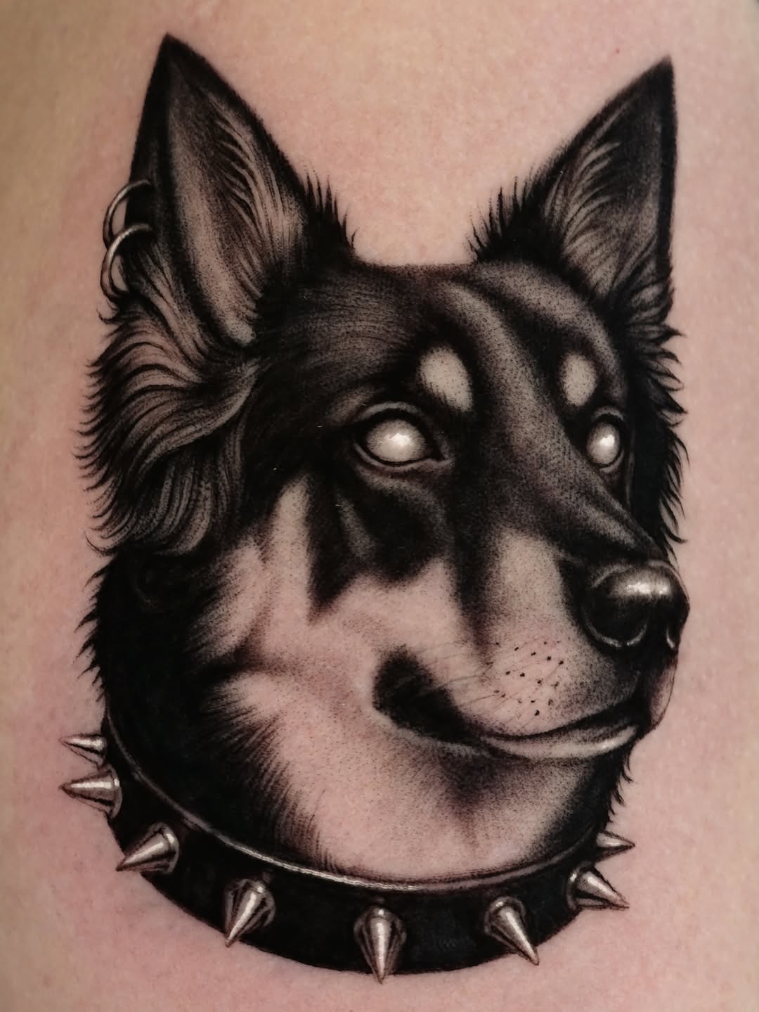 Dog portrait with spiked collar realism tattoo on the forearm by hiba ⊹ atlanta tattoo artist, Johns Creek, Georgia