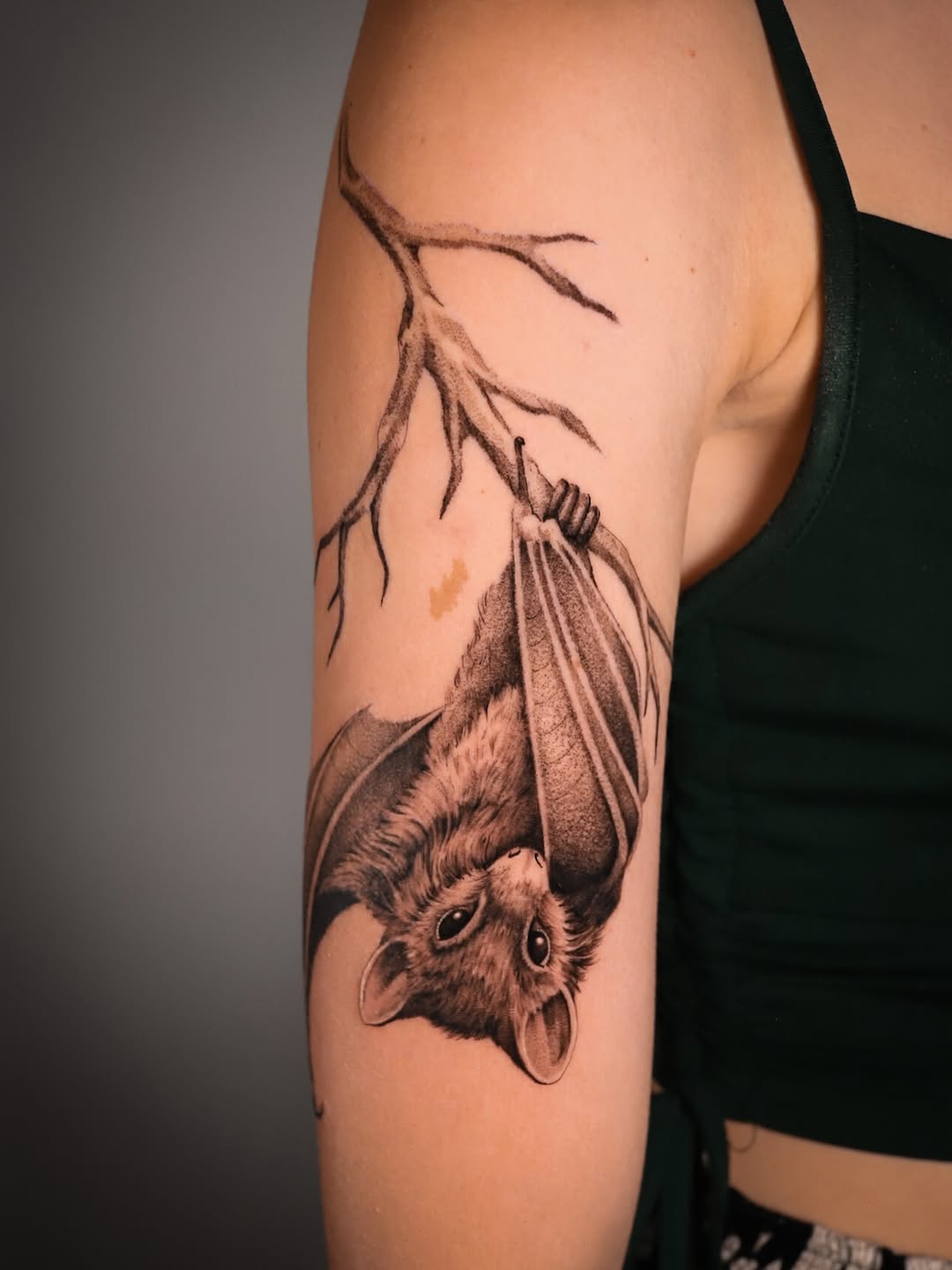 Bat hanging from a branch realism tattoo on the forearm by Cyn
