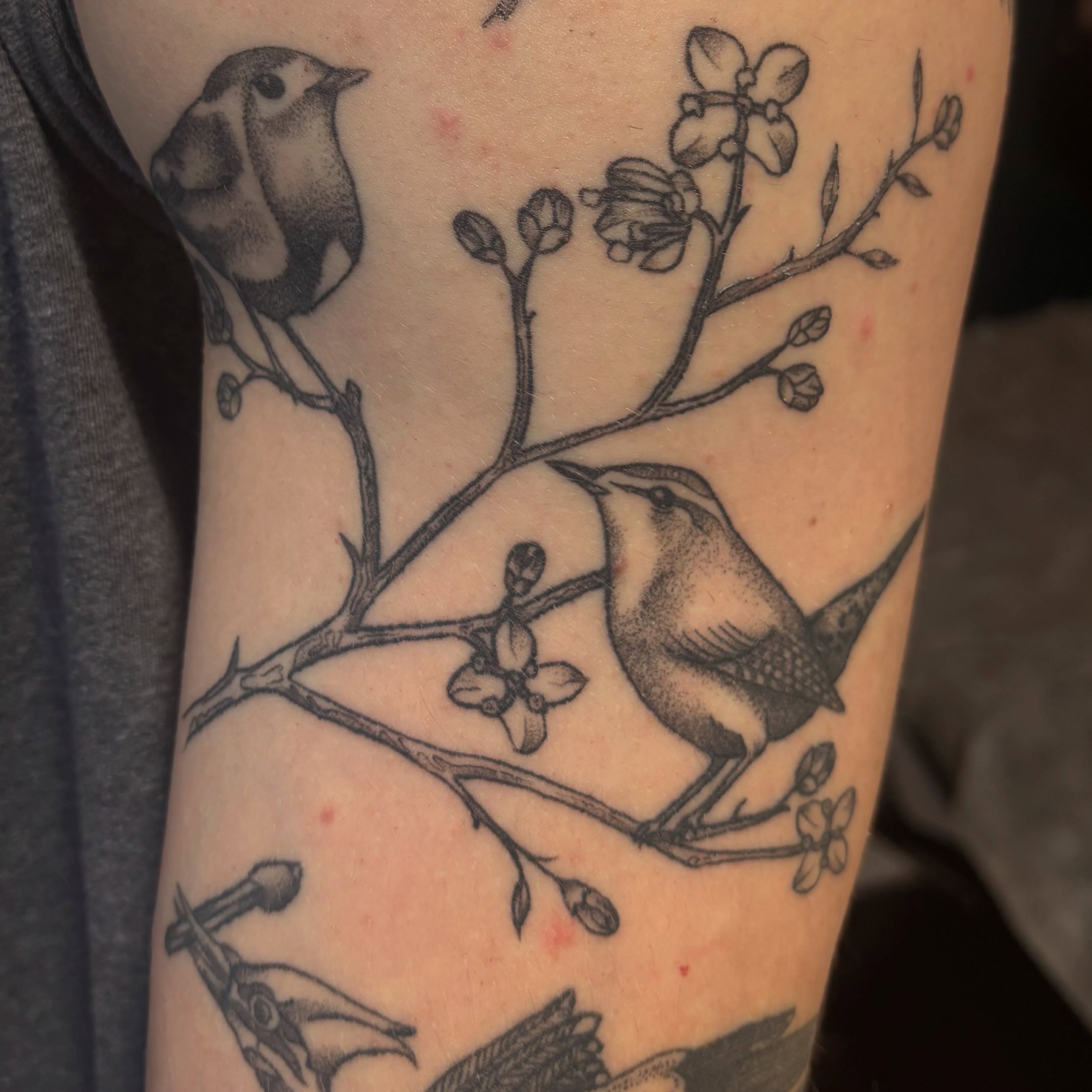 Tattoo by @tattoosbysamira β dotwork, black_and_grey