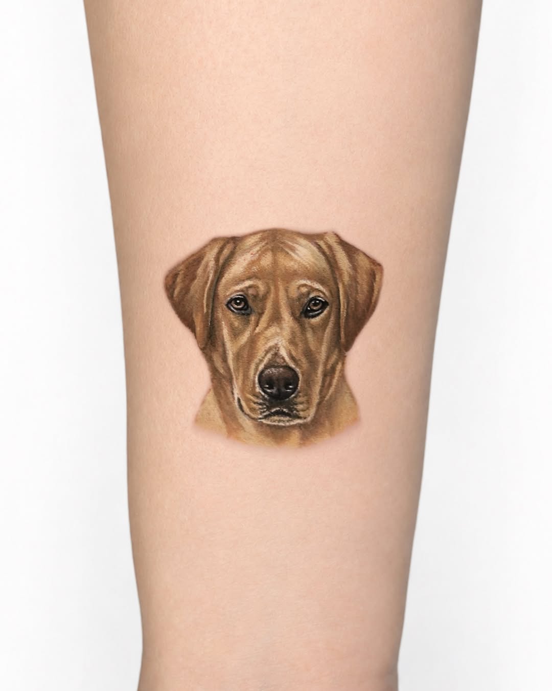 Tattoo by @hoze_tattoo — realism, black_and_grey