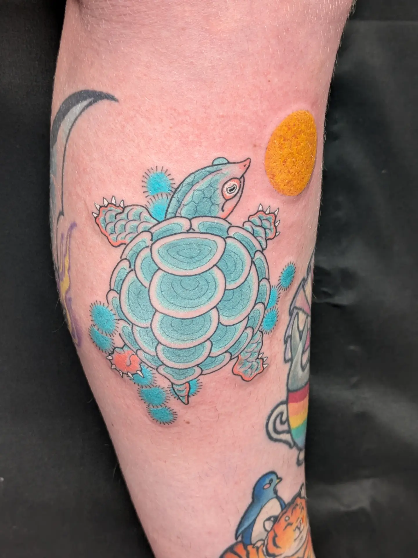 Turtle American traditional tattoo on the forearm by bluebird Kyoto 京都 五条楽園
