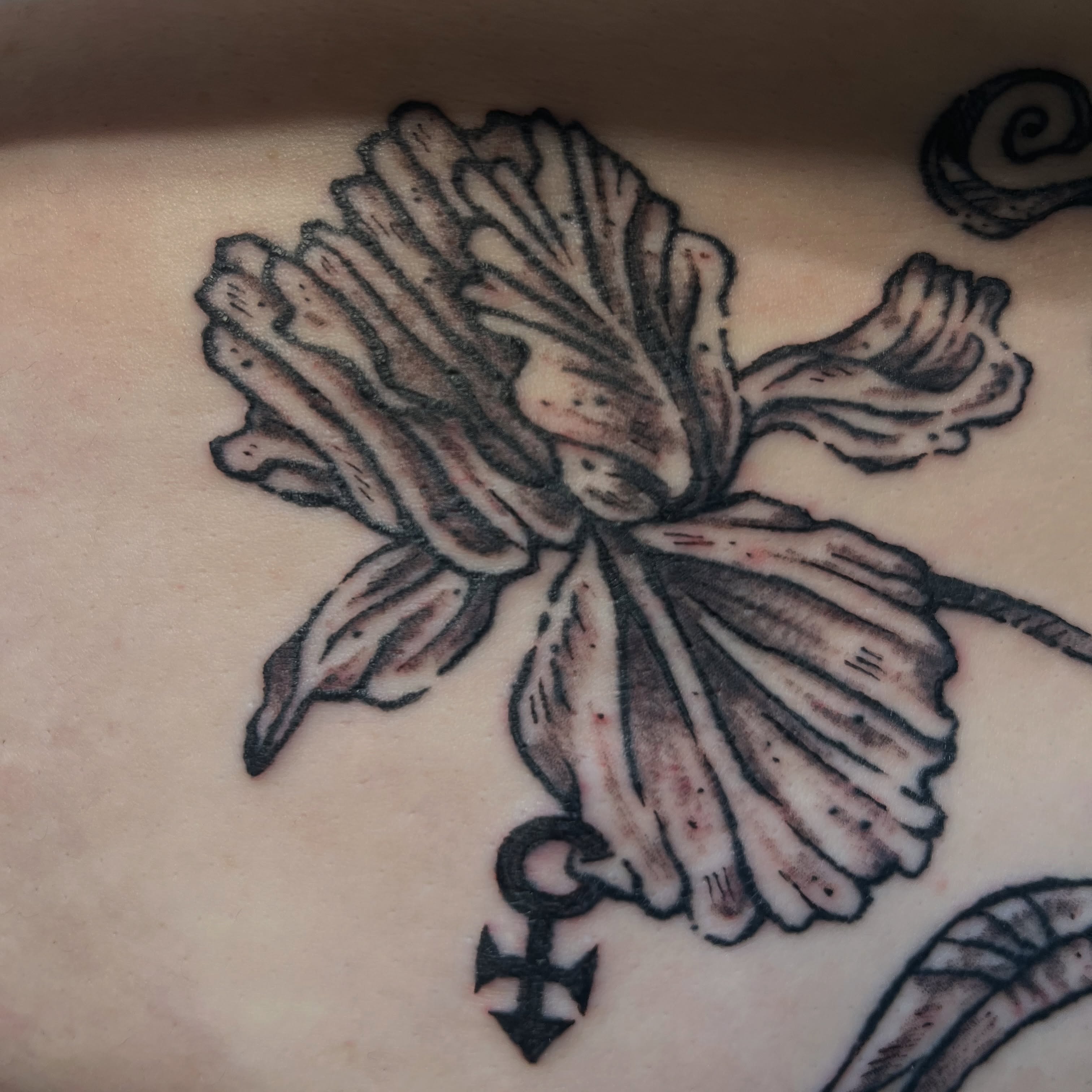 Tattoo by @little___altars โ black_and_grey