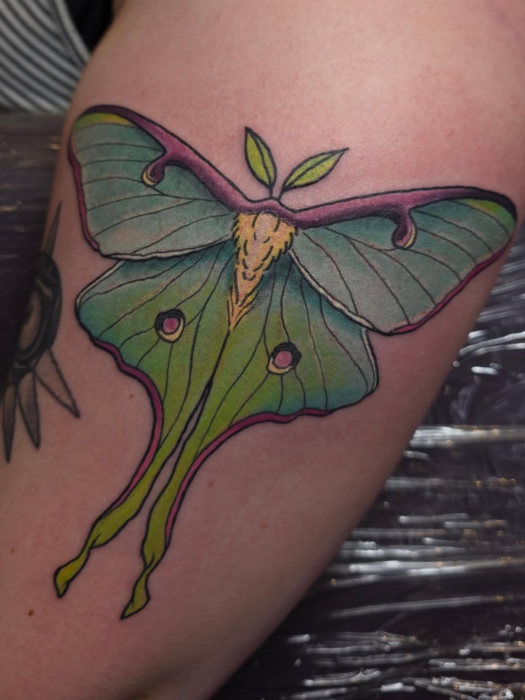 Tattoo by @embermoontattoos — realism, fine_line