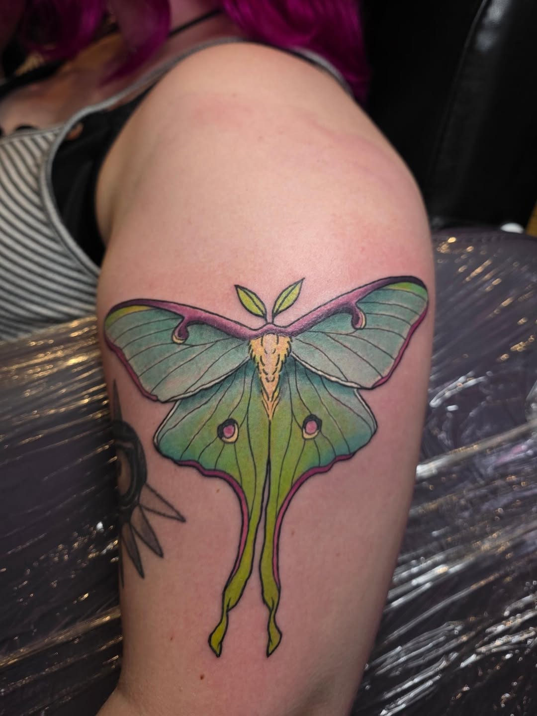 Tattoo by @embermoontattoos — neo_traditional