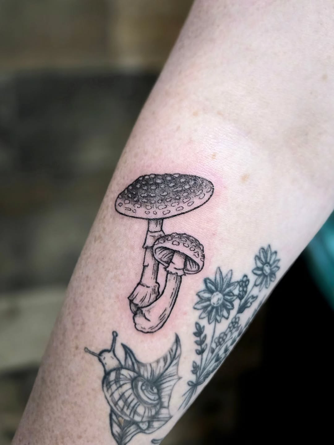Mushrooms and snail dotwork tattoo on the forearm by Courtney, Lakewood, Ohio