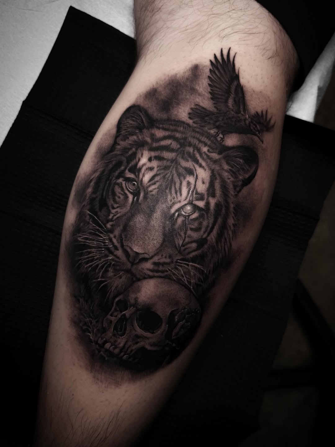 Tiger, skull, and raven realism tattoo on the forearm by 𝖎 𝖆𝖒 𝖗𝖔𝖙𝖙𝖎𝖓𝖌 𝖜𝖎𝖙𝖍 𝖞𝖔𝖚