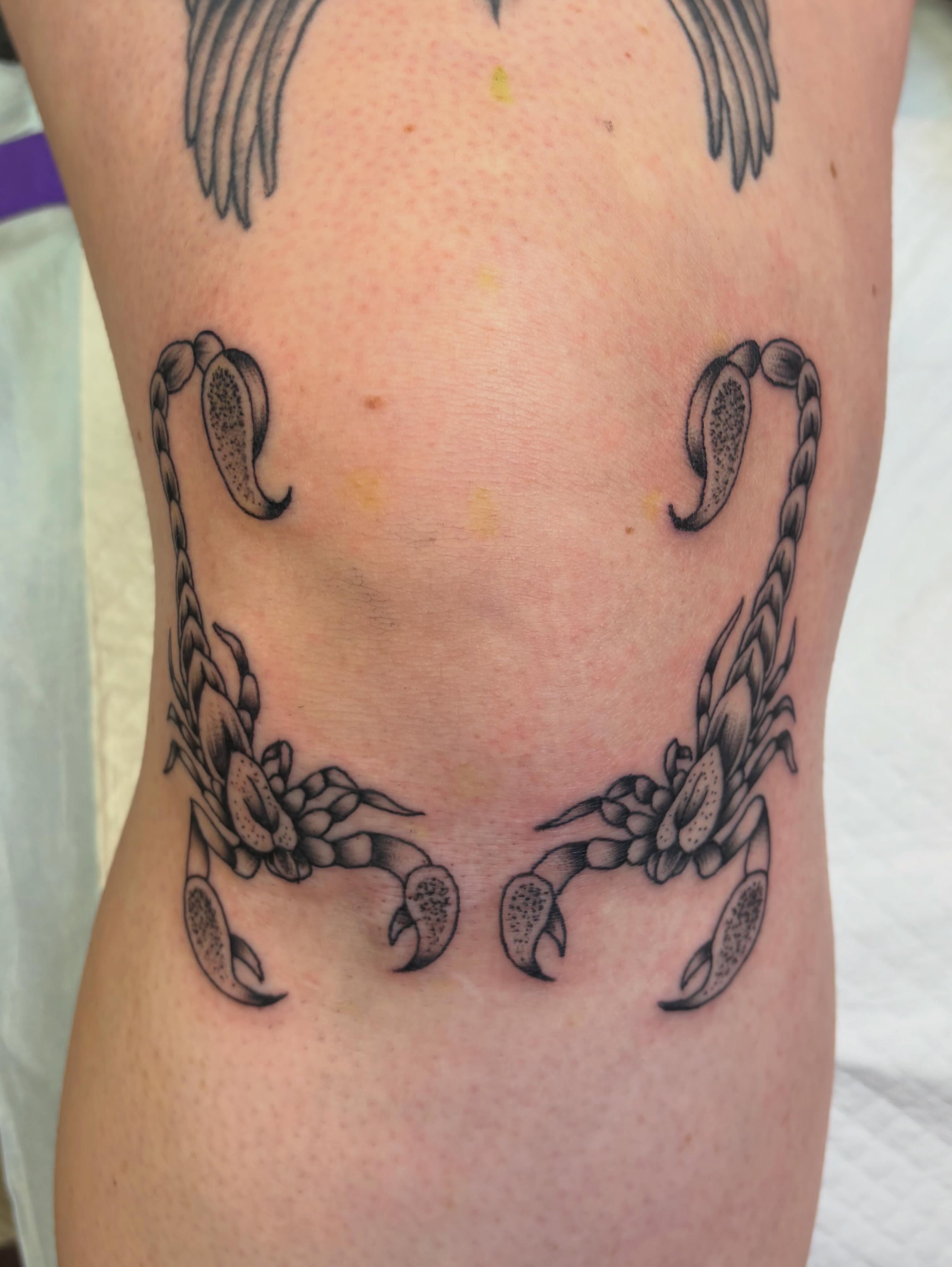 Scorpion black and grey tattoo on the ribs by Hailey Hermosillo