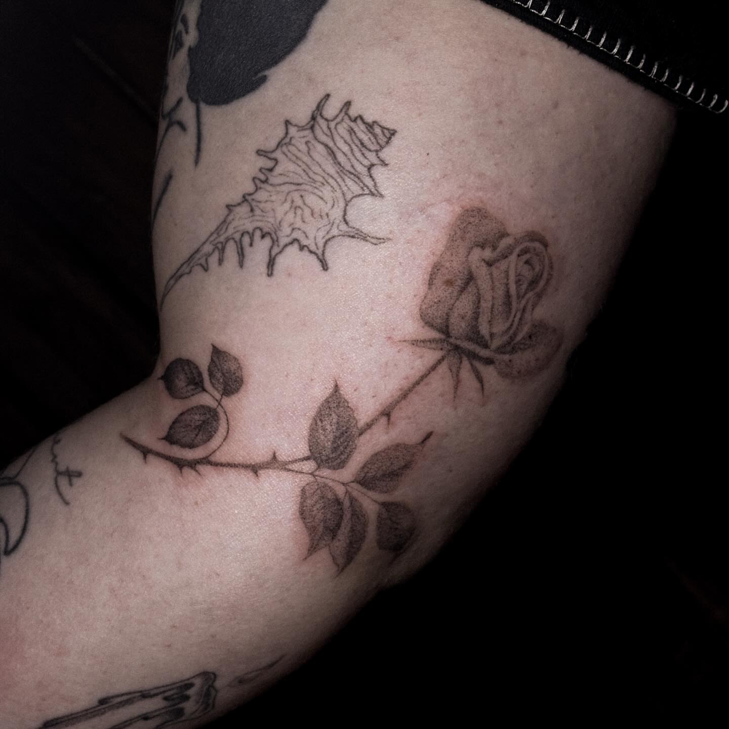Rose and thorns black and grey tattoo on the forearm by ๐๐, Tacoma, Washington