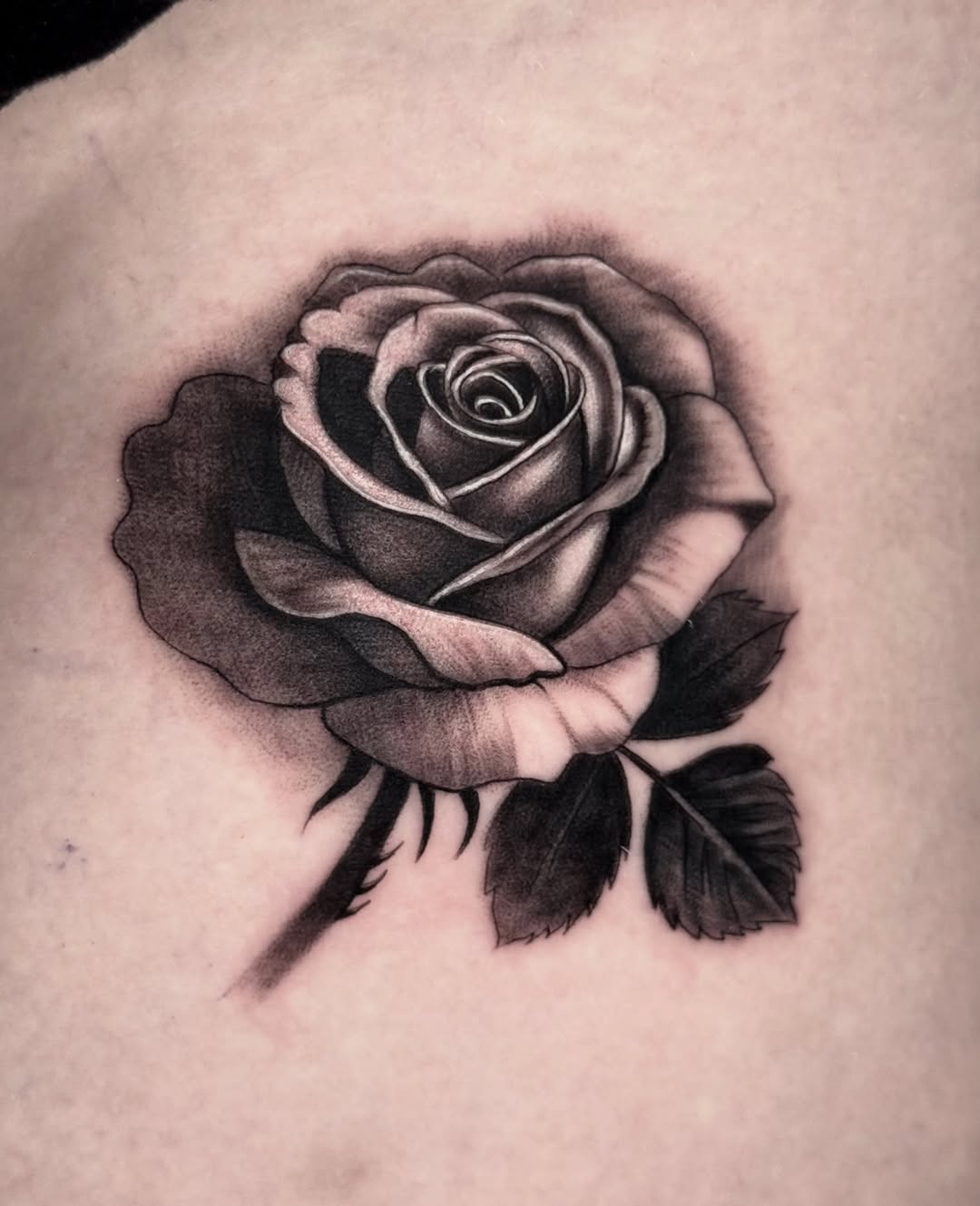 Rose dotwork tattoo on the chest by Chris galvis, Charlotte, North Carolina