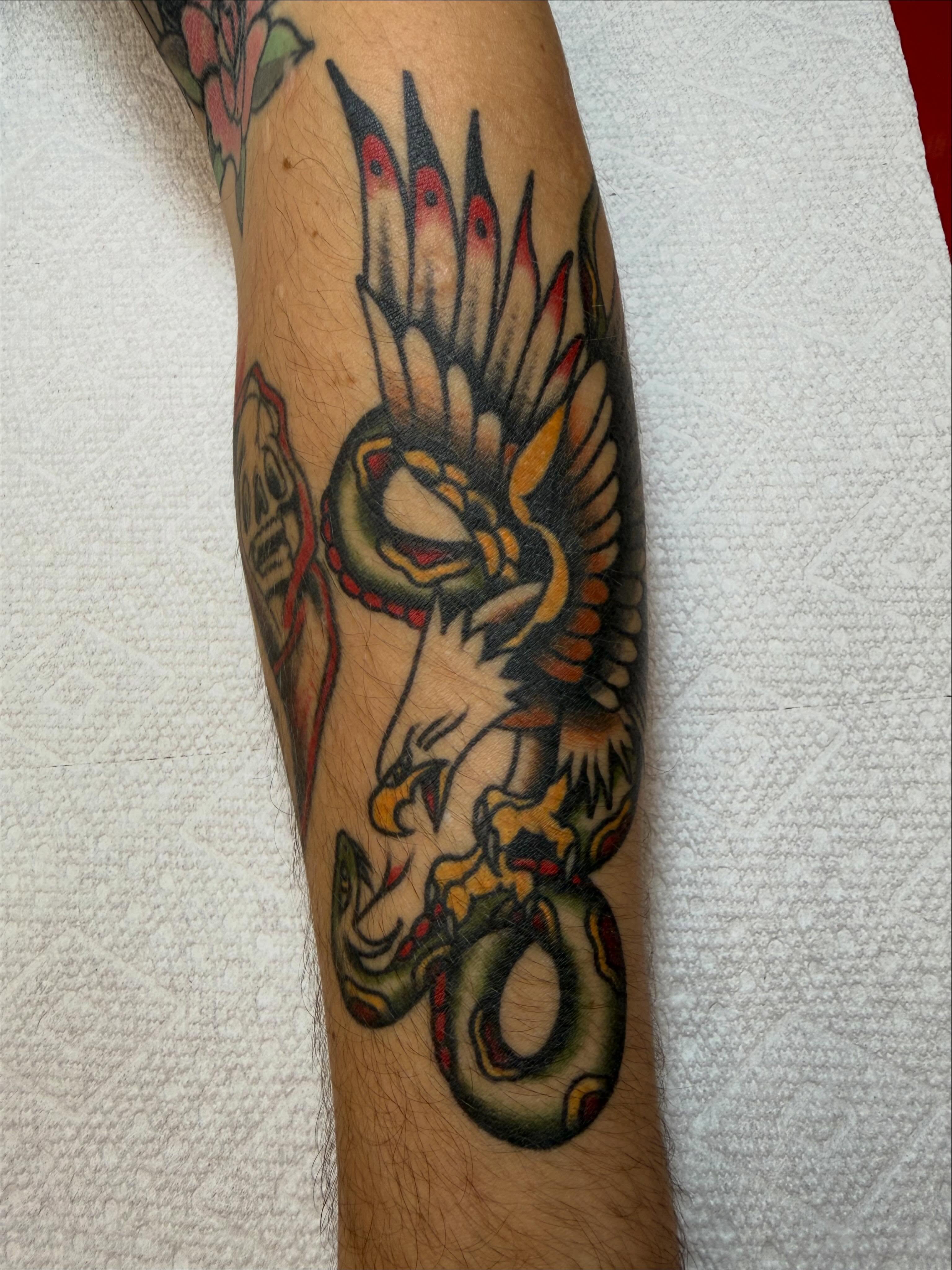Snake and bird American traditional tattoo on the forearm by Mikaila Rose Krauss