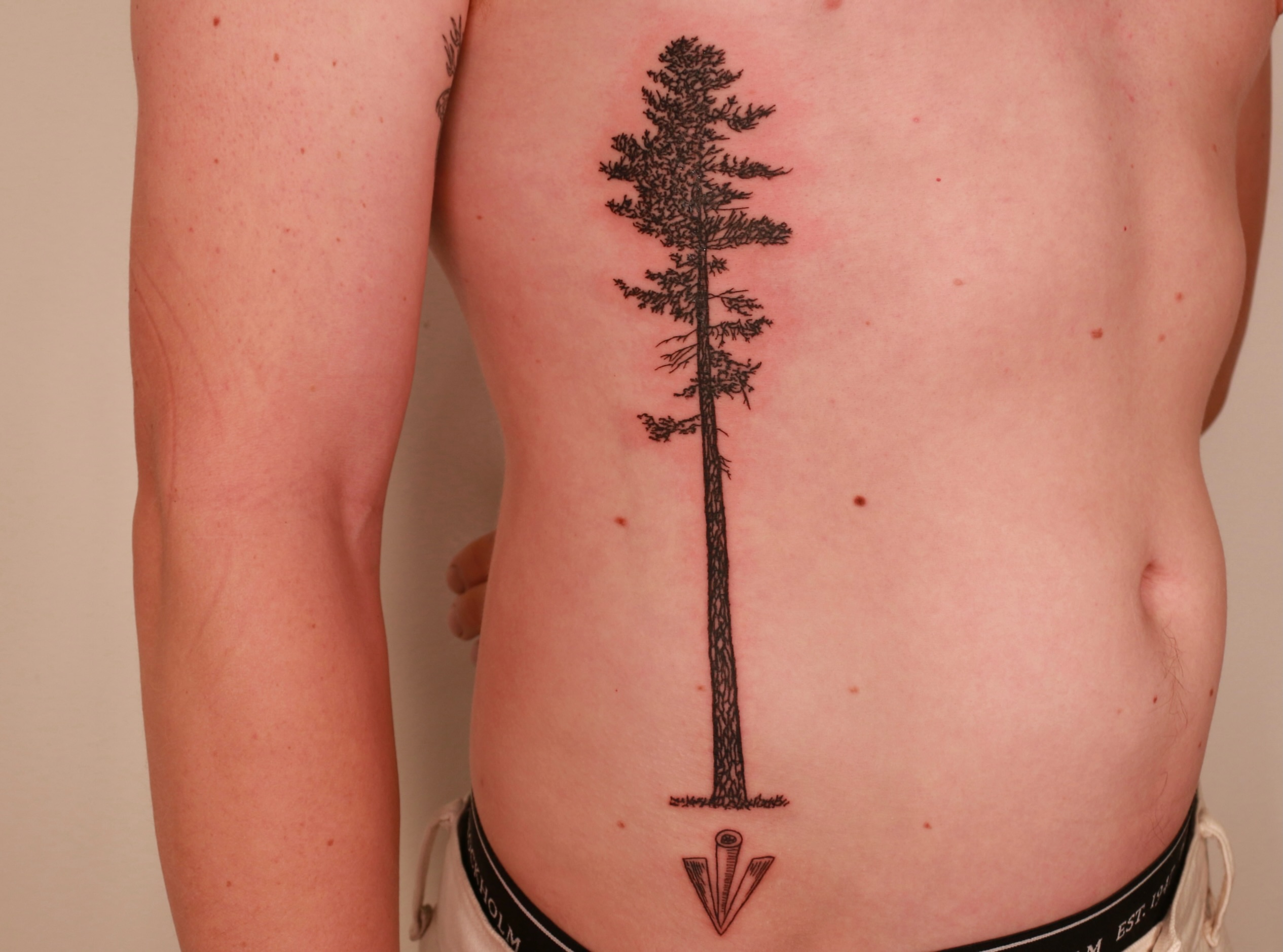 Pine tree black and grey tattoo on the ribs by Mike