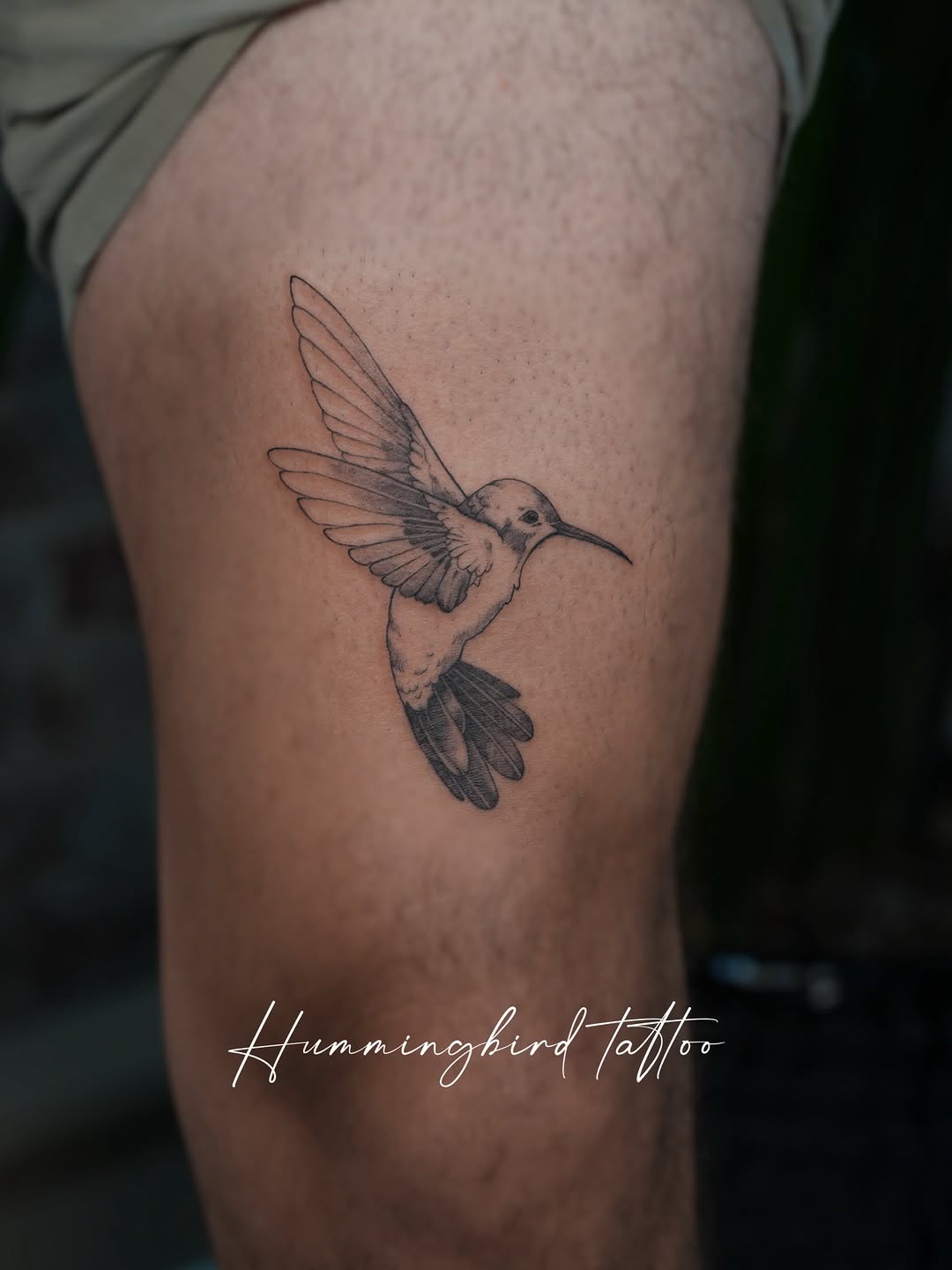 Tattoo by @tattooernyc โ fine_line, black_and_grey