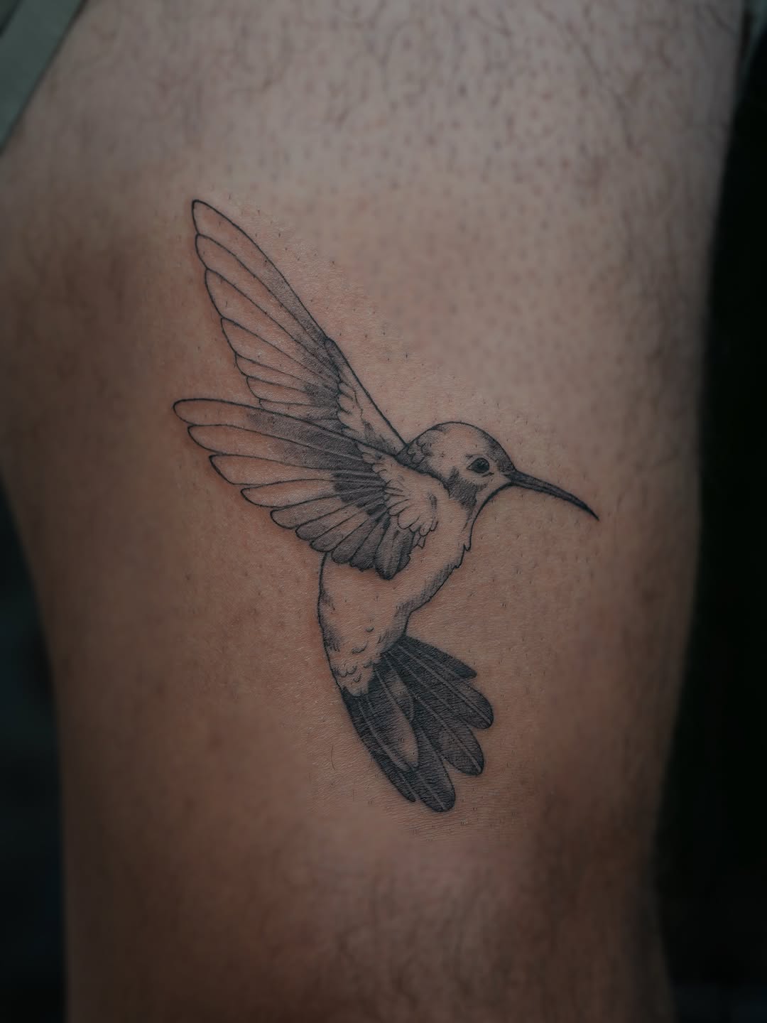 Tattoo by @tattooernyc โ fine_line, black_and_grey