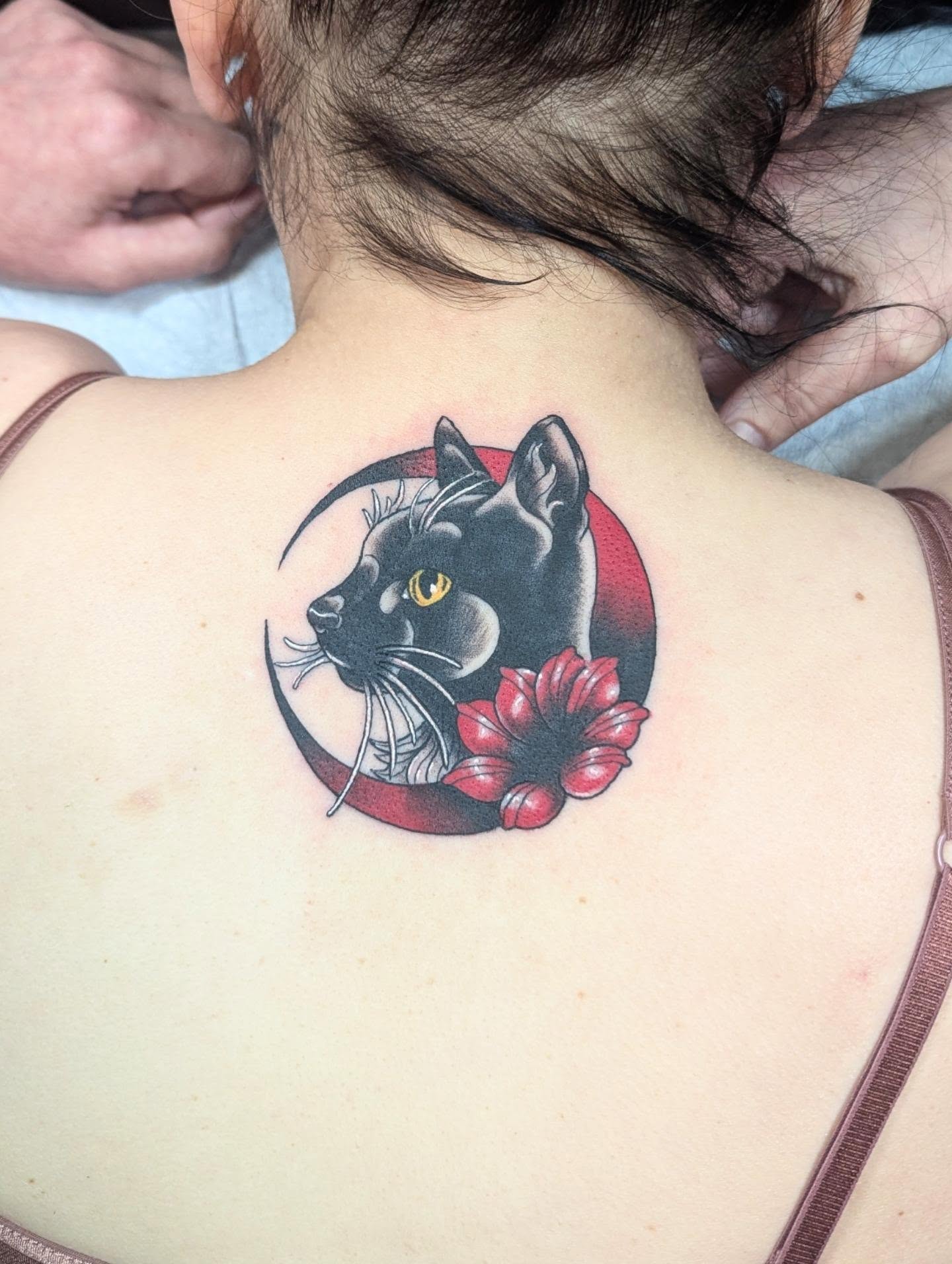 Cat and flowers American traditional tattoo on the back by Nico Capriotti ๐ณ๏ธโ๐
