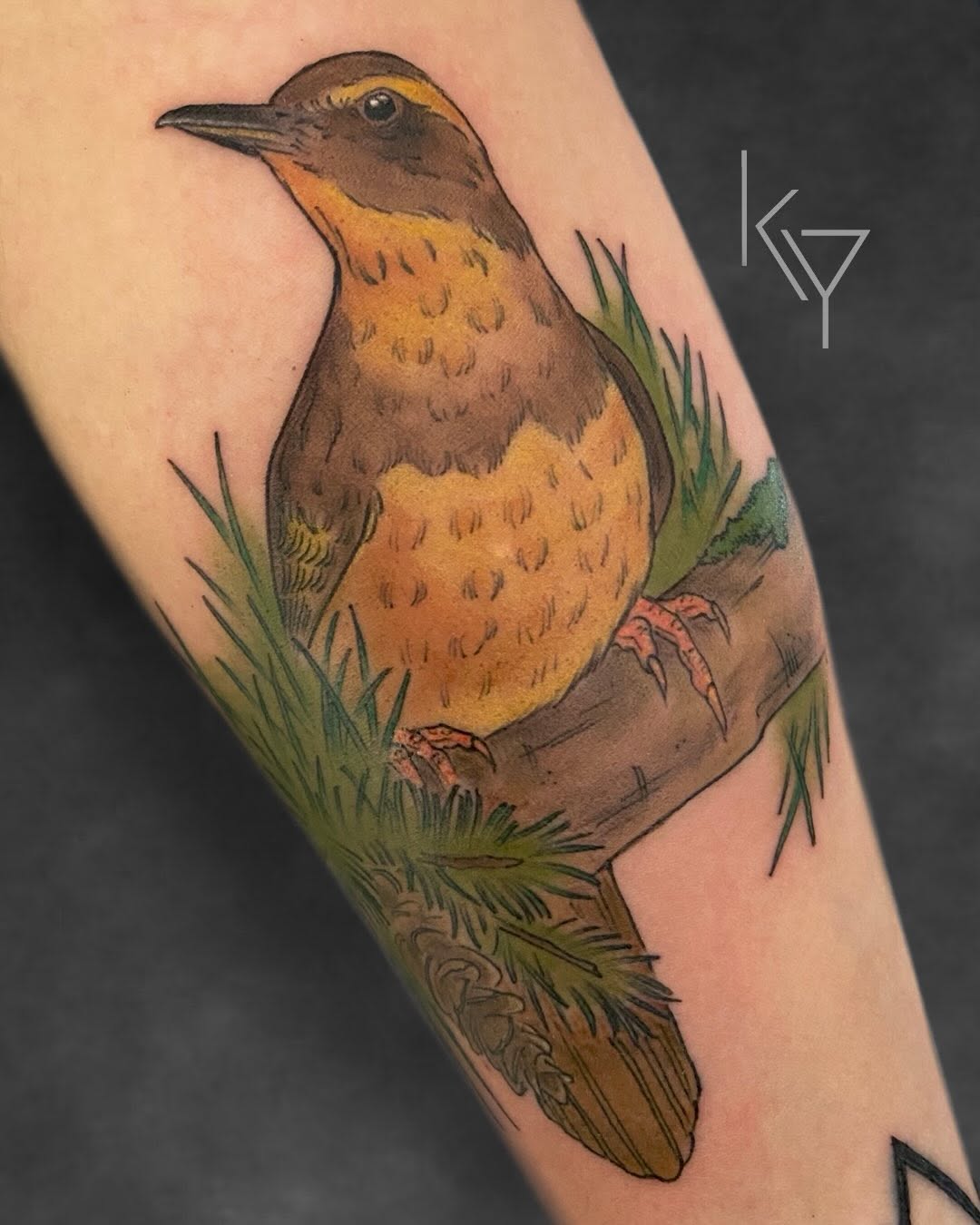 Tattoo by @yorkietats — realism, illustrative