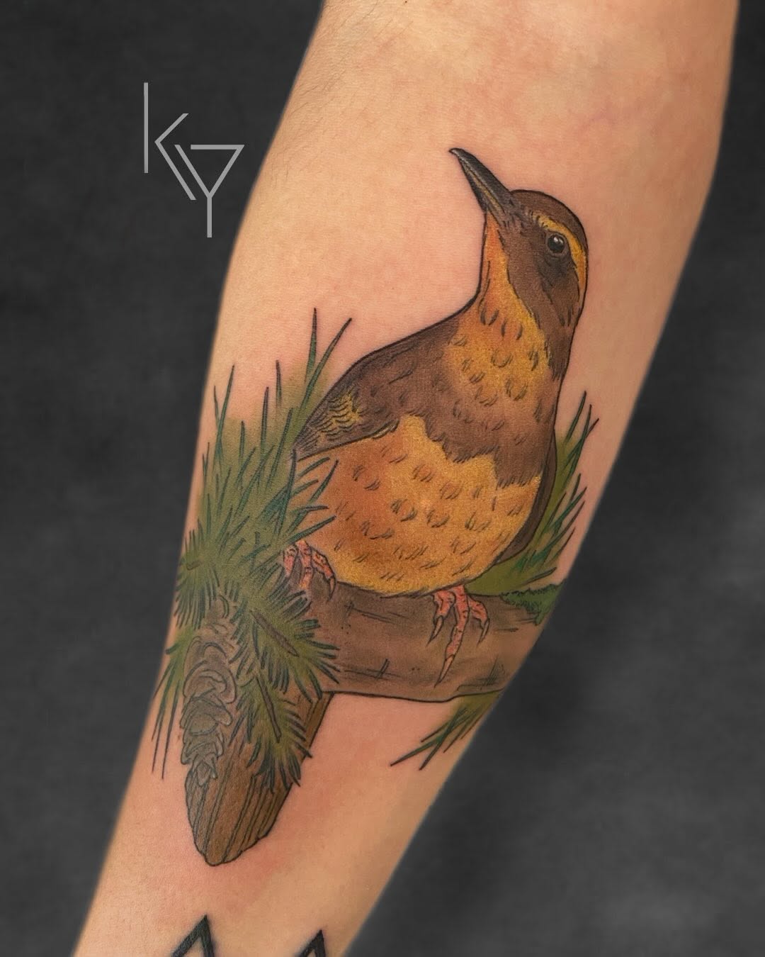Tattoo by @yorkietats — realism, fine_line