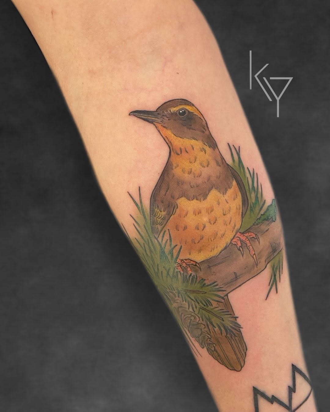 Tattoo by @yorkietats — realism, illustrative