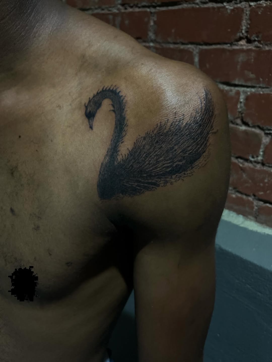 Black swan fine line tattoo on the shoulder by Sashka