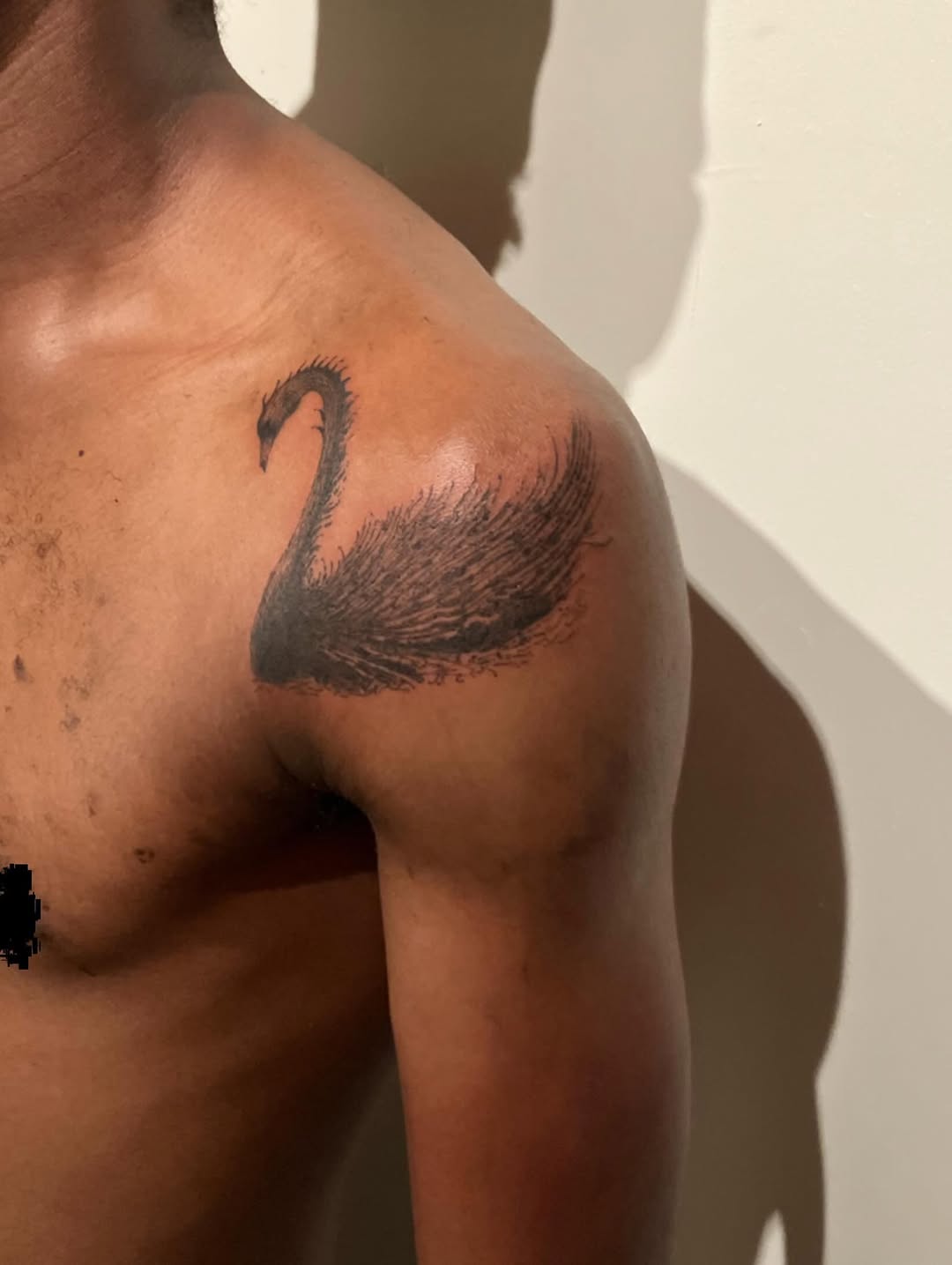 Black swan fine line tattoo on the shoulder by Sashka