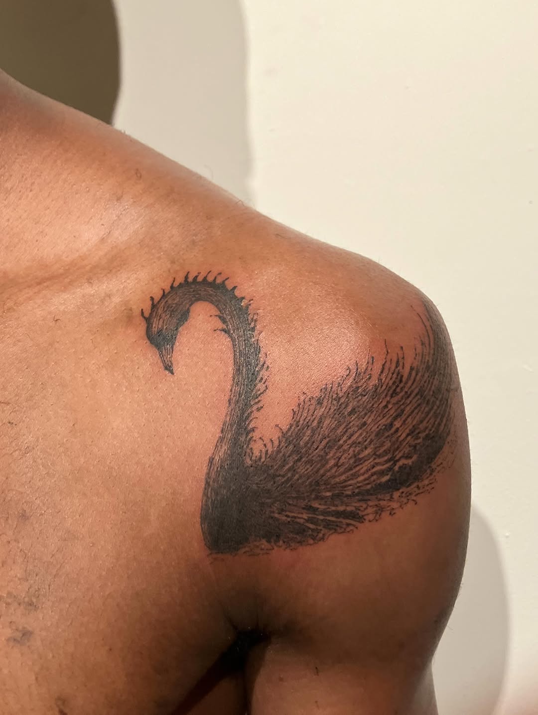 Black swan fine line tattoo on the shoulder by Sashka