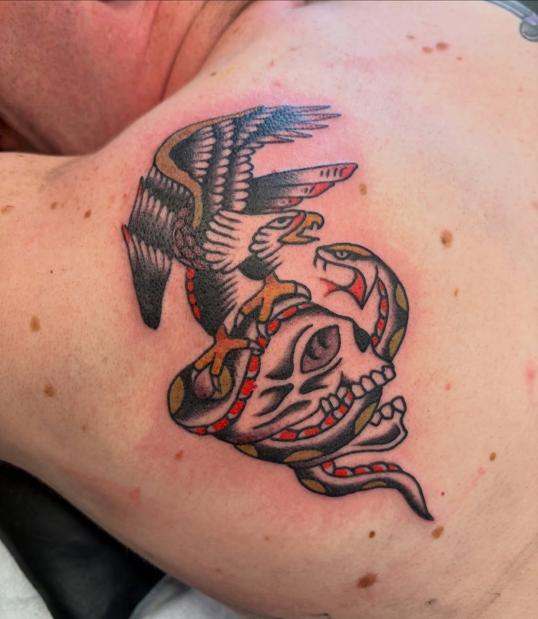 Eagle, snake, and skull American traditional tattoo on the shoulder by Sammy Tattoo, Austin, Texas