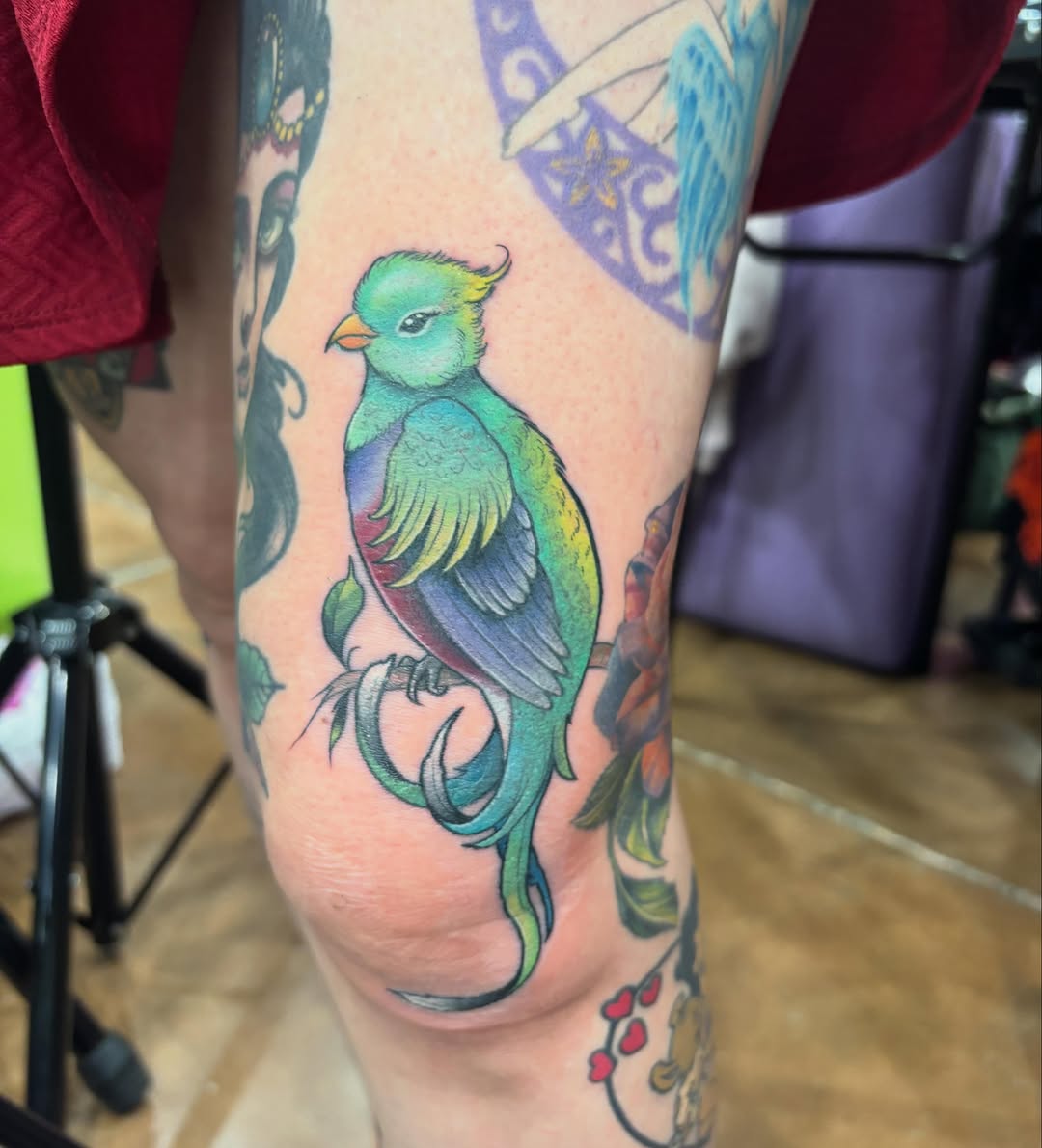 Tattoo by @cmoore04 β neo_traditional, fine_line