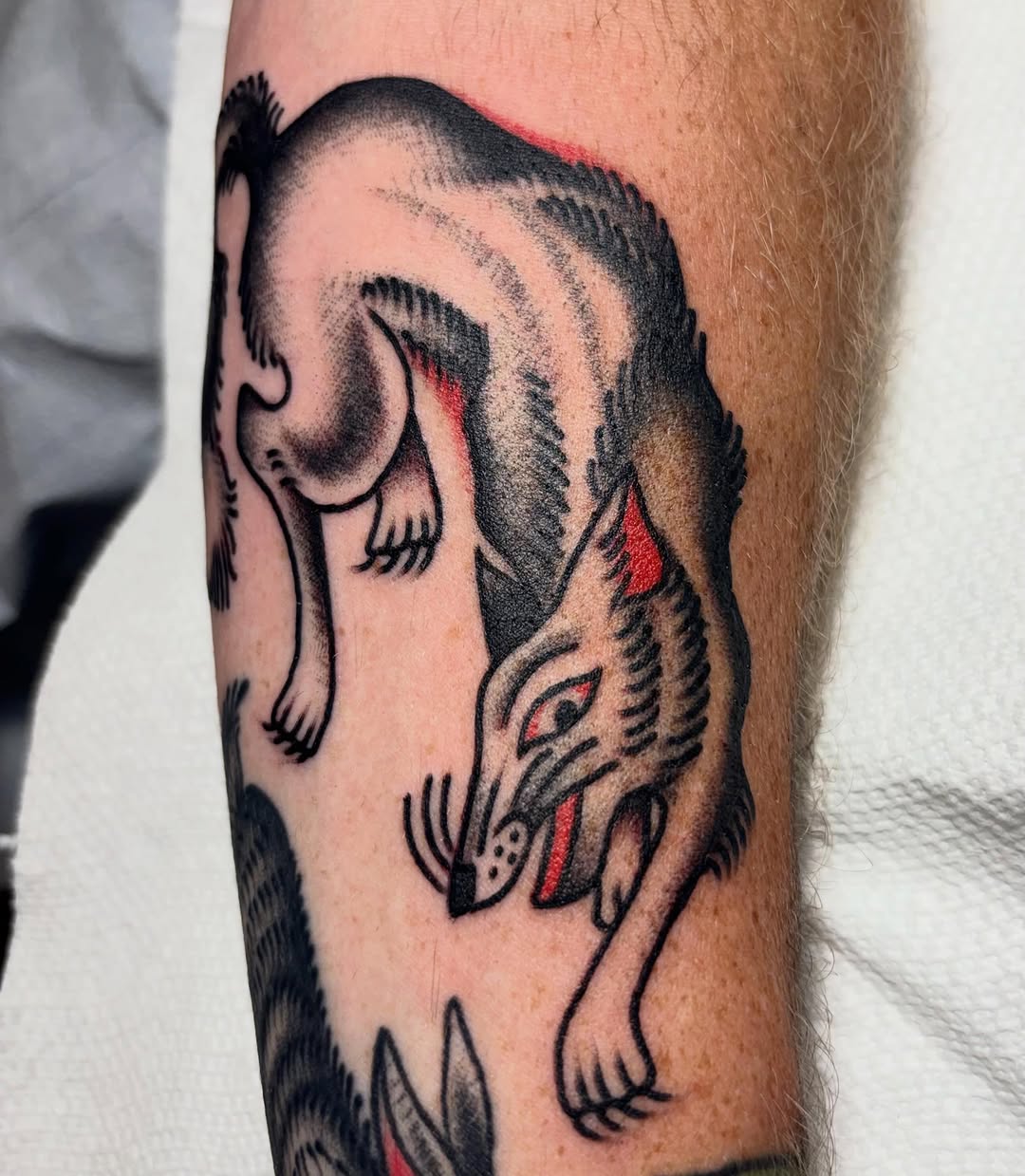 Tattoo by @diblasitattoo — american_traditional