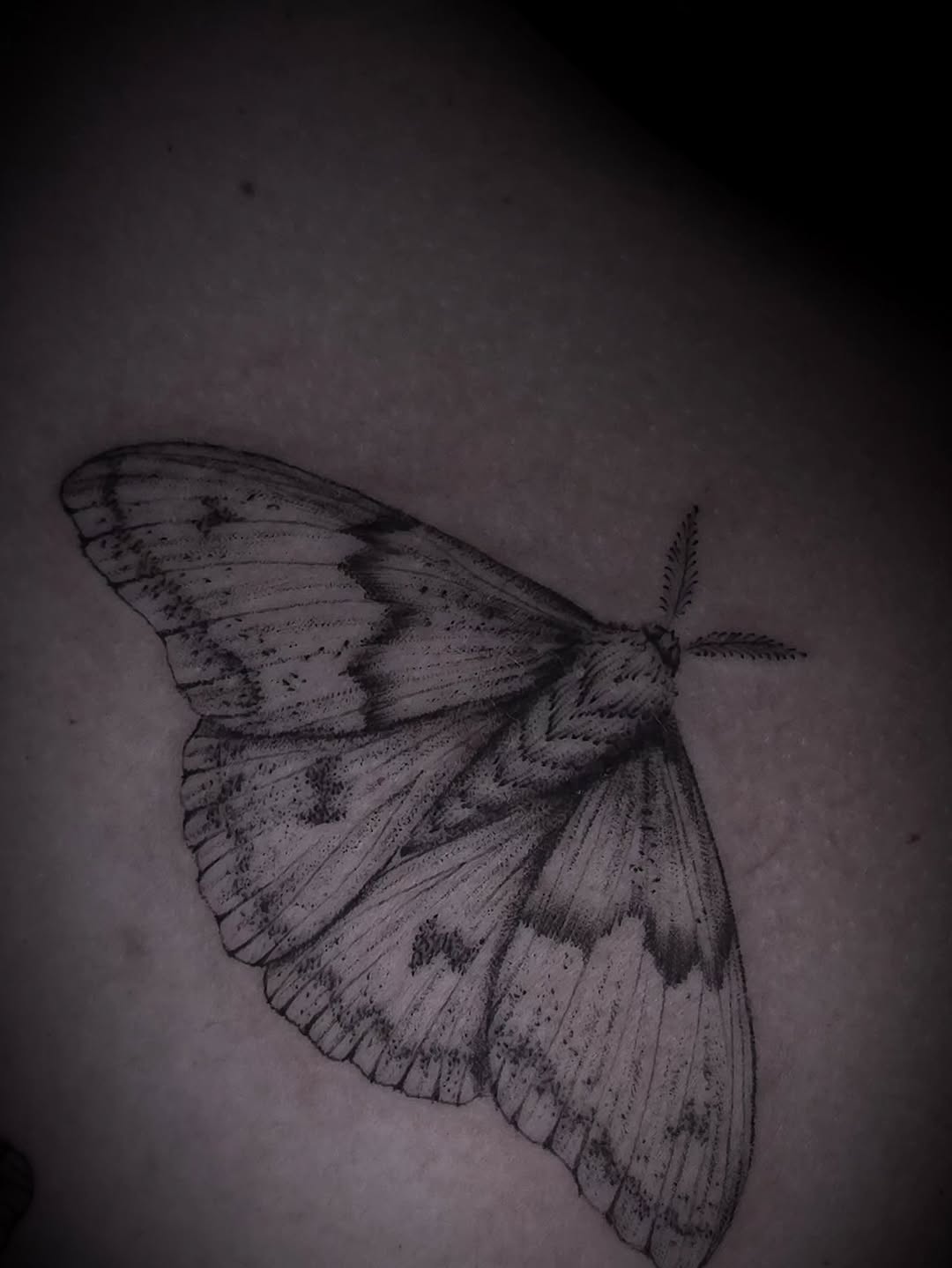 Tattoo by @ink_by_vi_tattoo — realism, black_and_grey