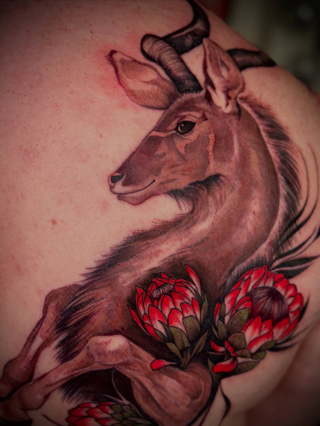 Tattoo by @felizestrella_tattoo — realism, black_and_grey