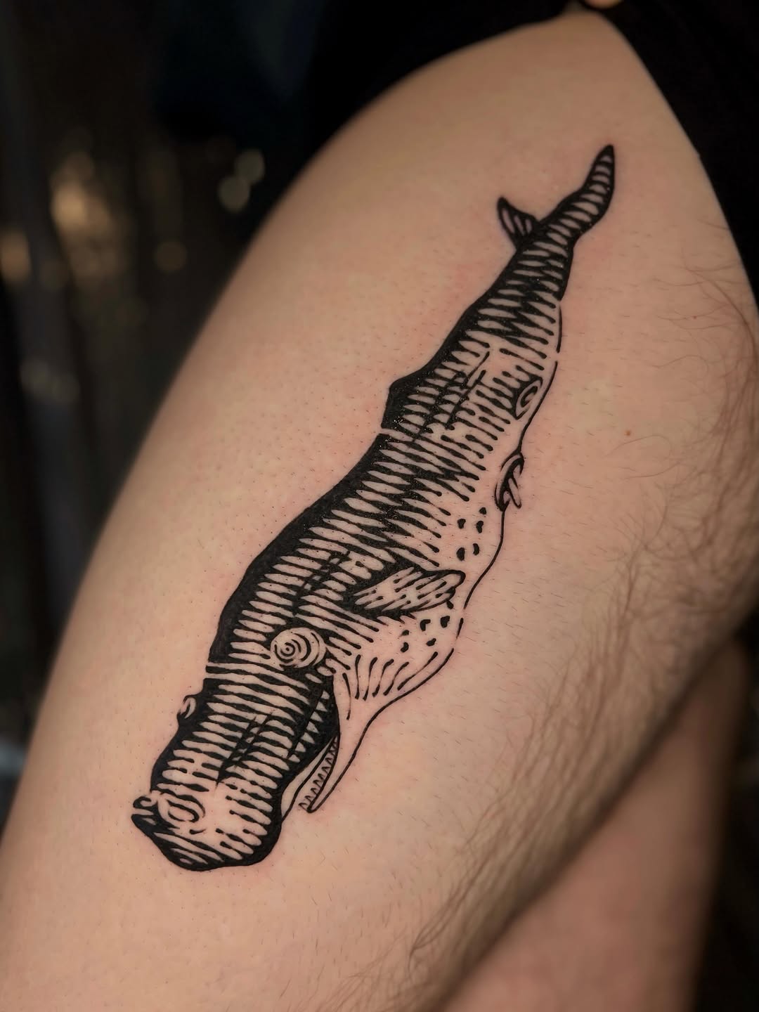 Tattoo by @wonny_wood — blackwork, illustrative