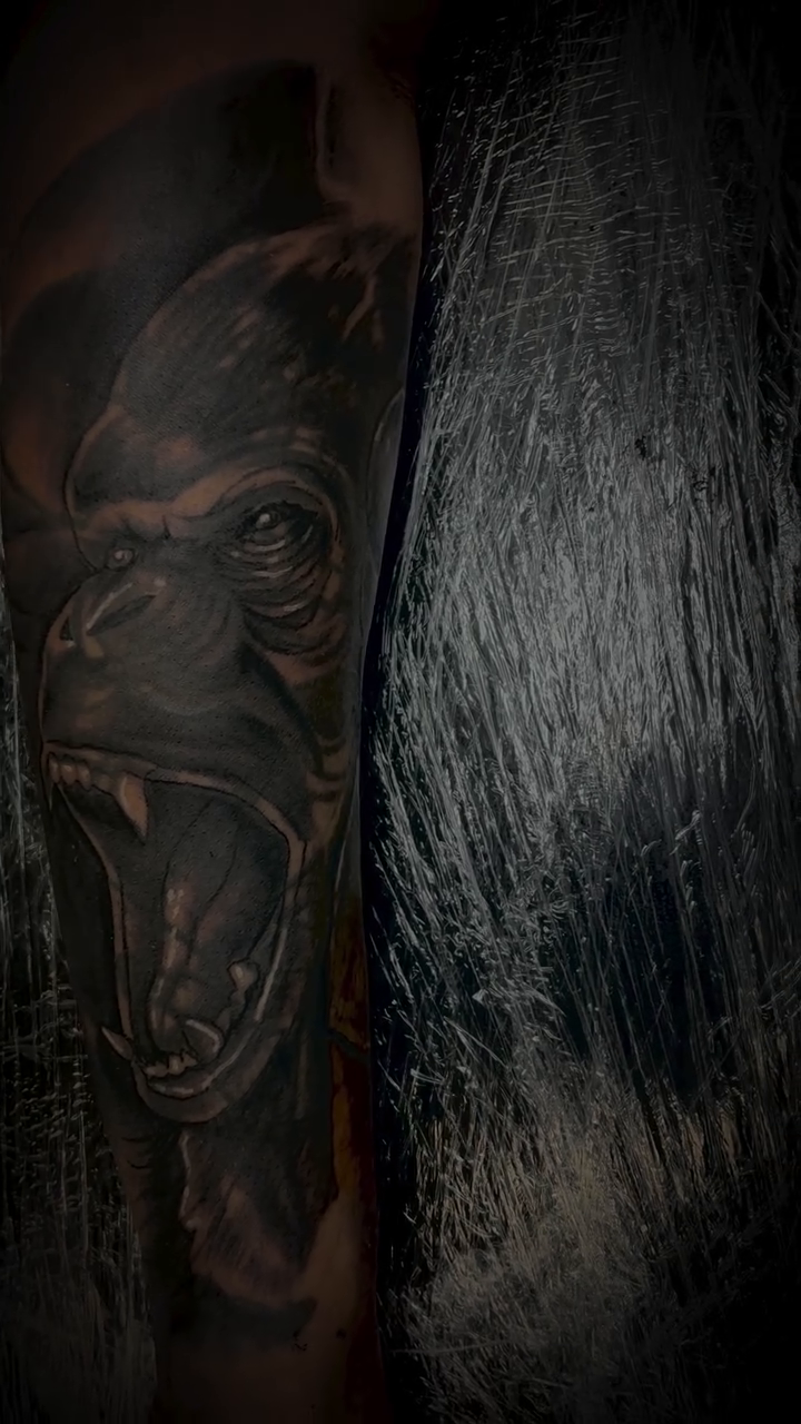 Gorilla portrait realism tattoo by Devin Johnson, Forest Park, Georgia