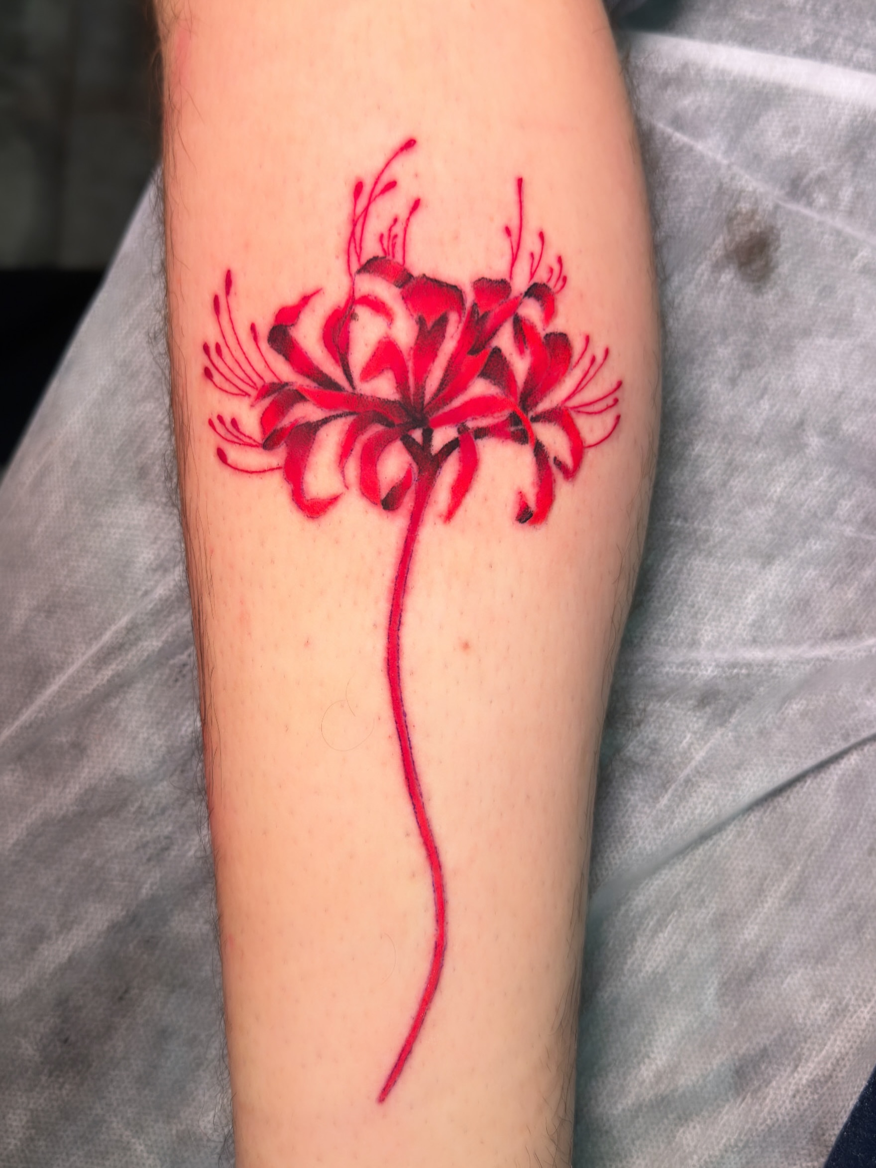 Red spider lily realism tattoo on the forearm by David Carras-pol, Miramar, Florida