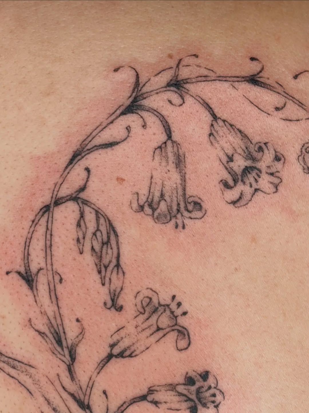 Tattoo by @stabzzz333 โ fine_line, illustrative