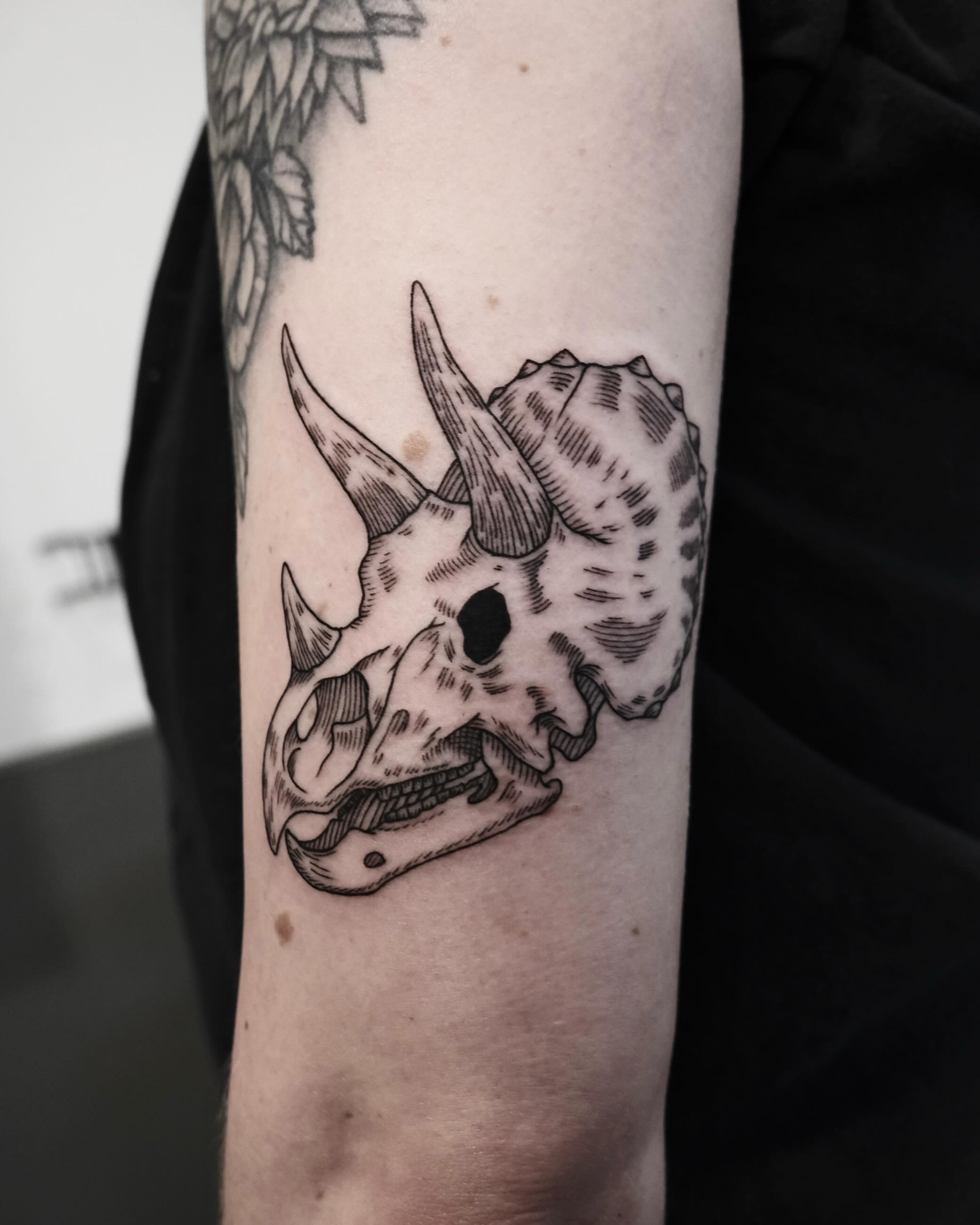 Tattoo by @nocool_kim — black_and_grey, realism