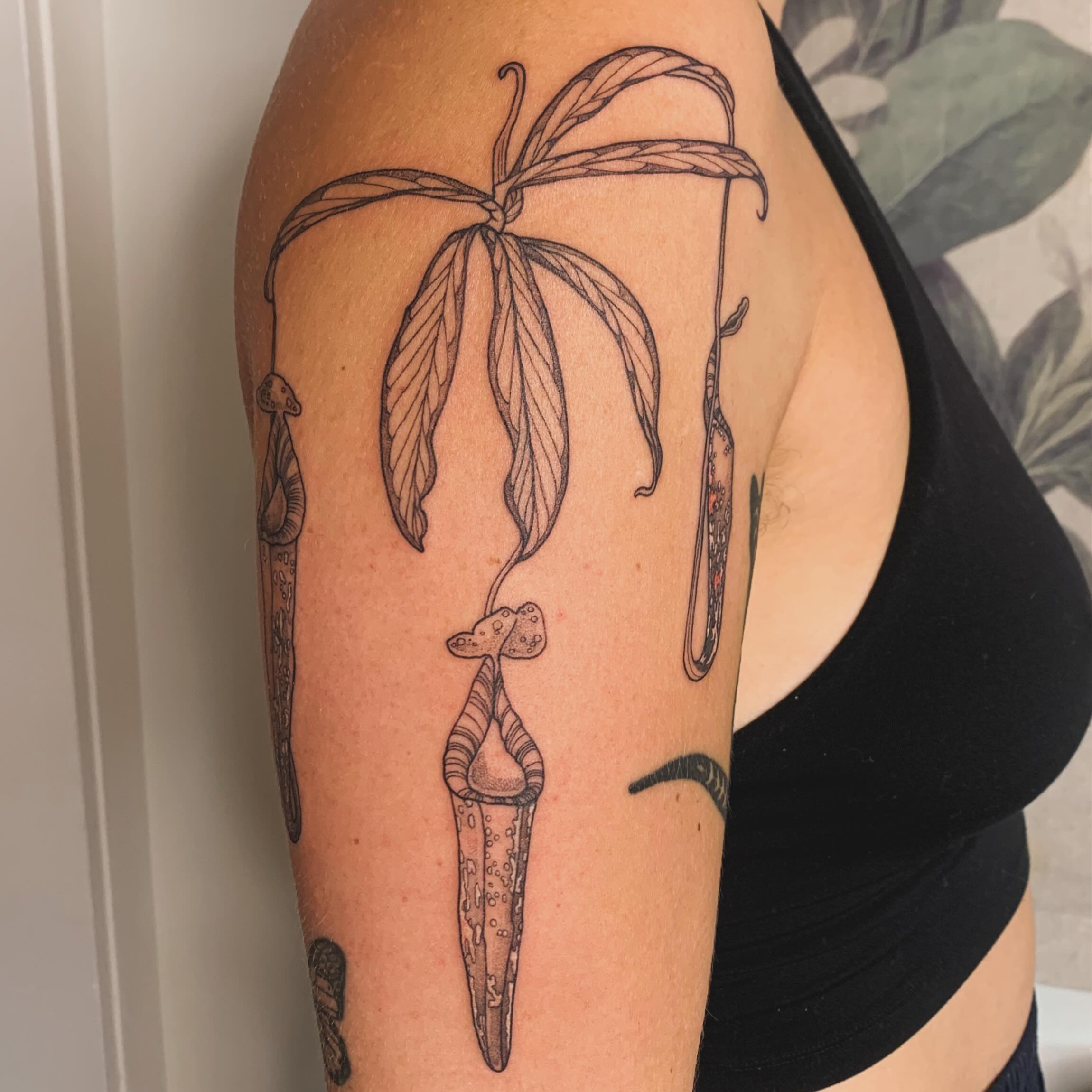 Tattoo by @peripeteiah — black_and_grey