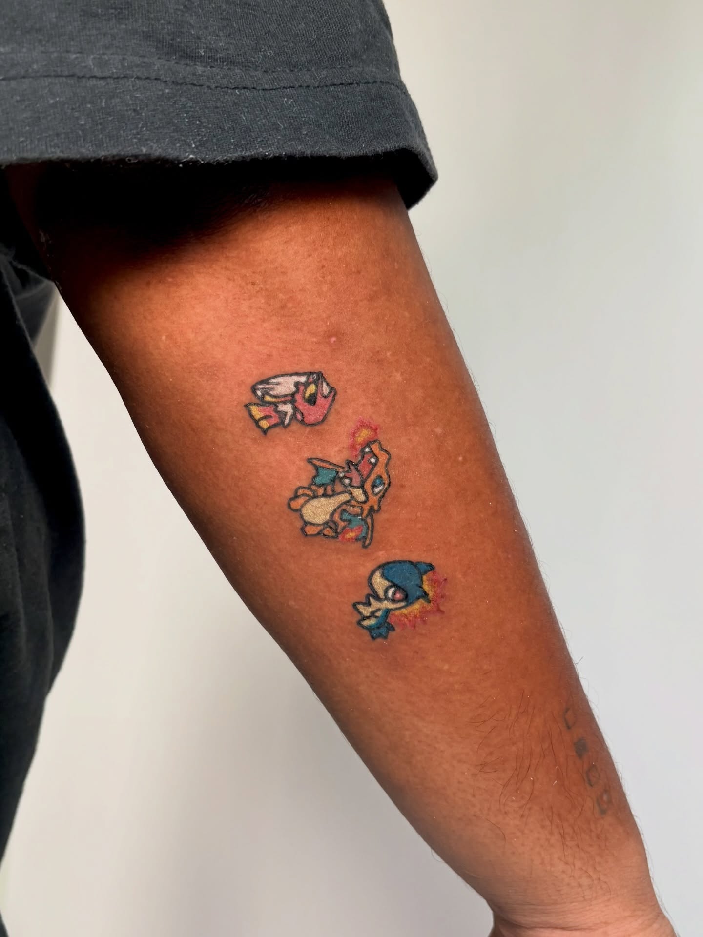 Pokemon evolution dotwork tattoo on the forearm by Rami, Maden🇰🇷