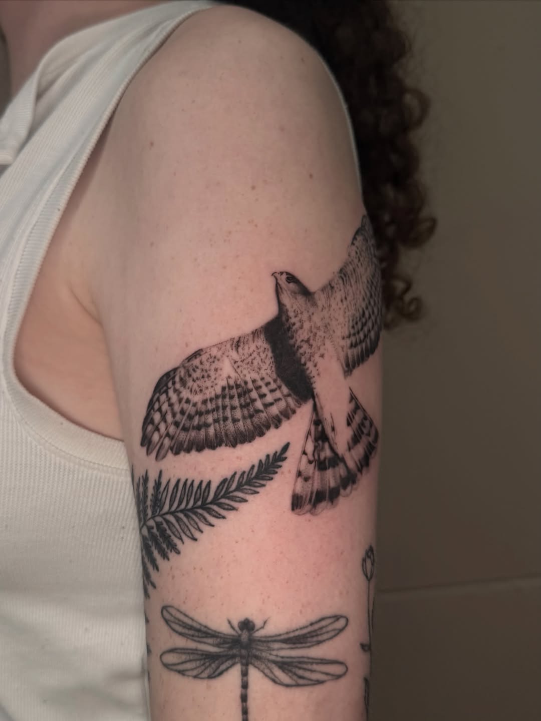 Hawk in flight fine line tattoo on the upper arm by Ivy🌱, New York, New York