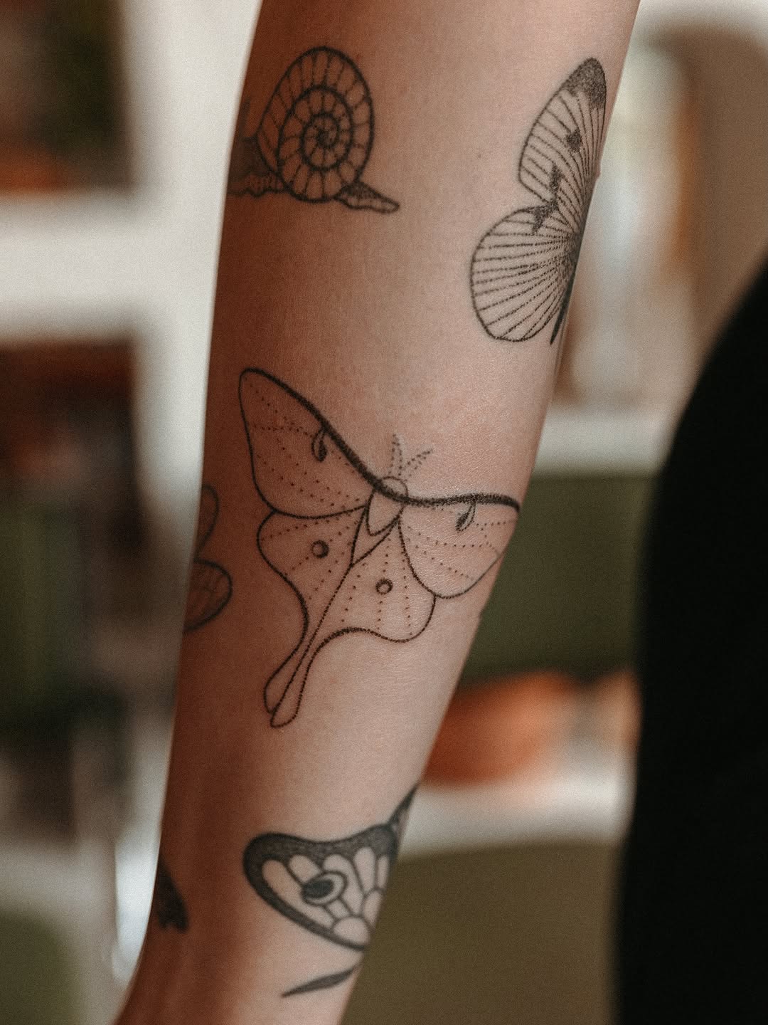 Moth, snail, and butterfly fine line tattoo on the forearm by Grace Wise - Handpoke Tattoos