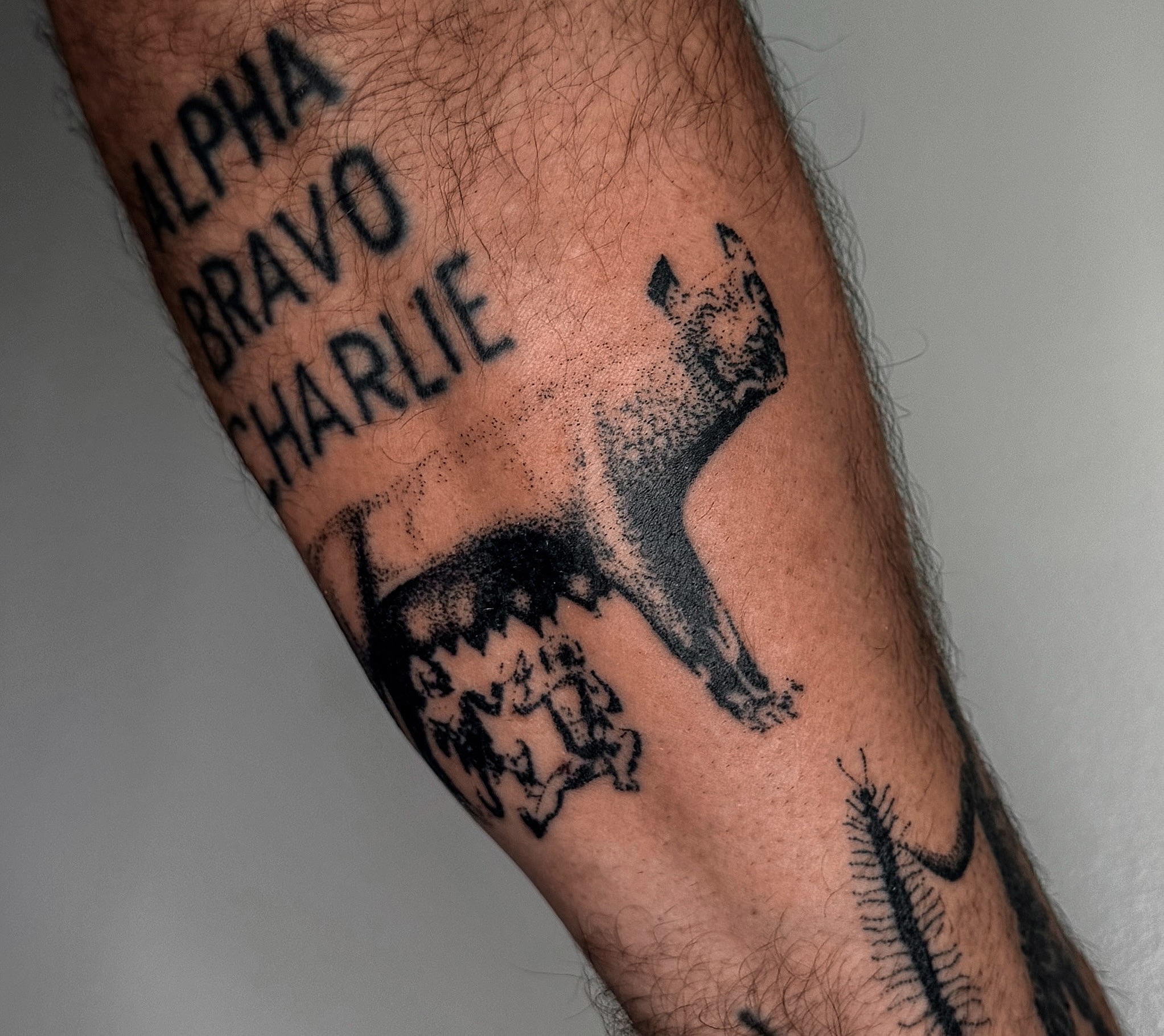 Dog and text dotwork tattoo on the forearm by Javier  Darder 𓃭𓀠✬✹☄︎❁☠︎³³